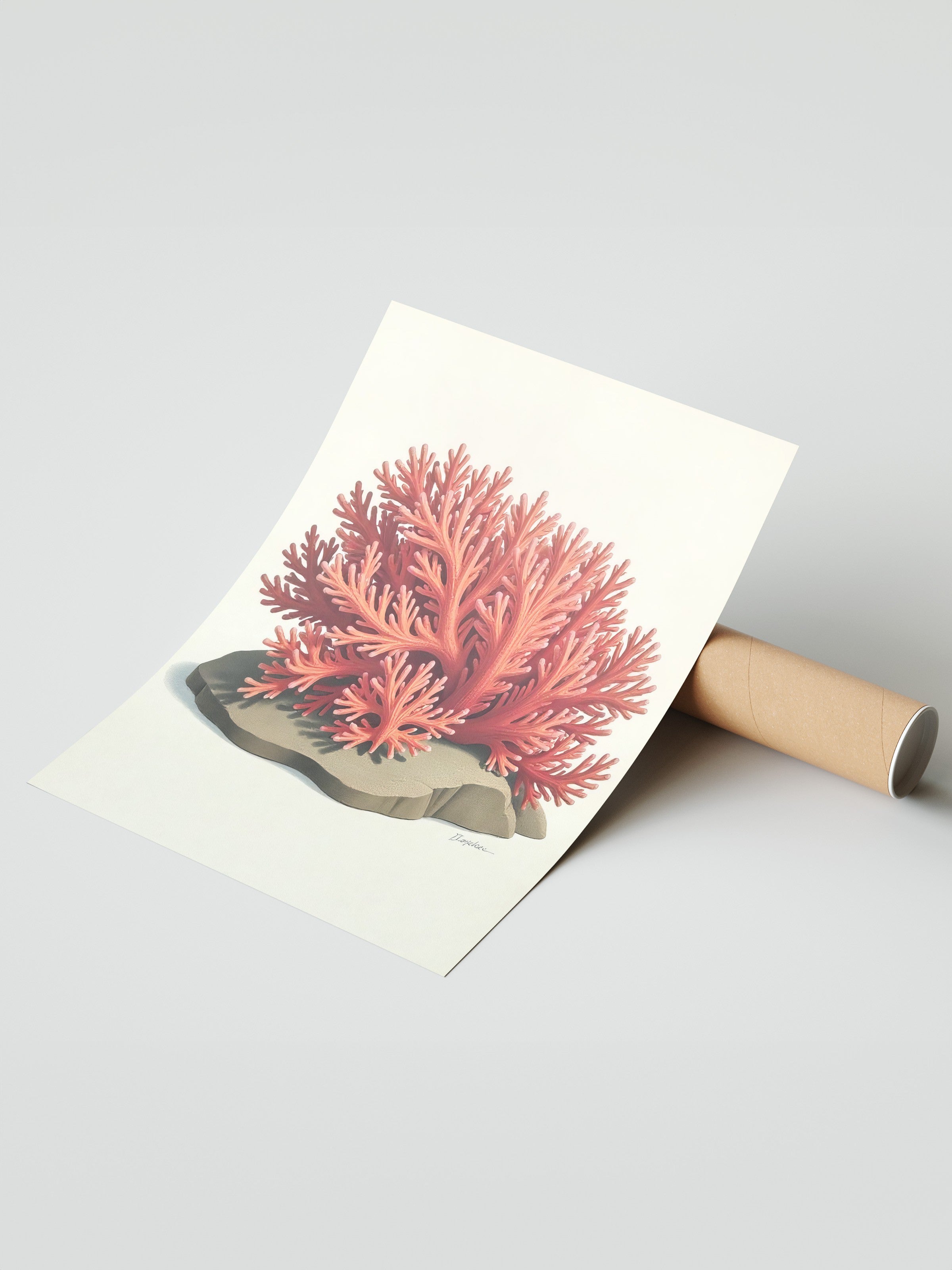 Çerçevesiz Duvar Posteri, Deniz Yosunu, İllüstrasyon, Turuncu Renk Poster, 2025 Yaz Seçkisi, NO:109599