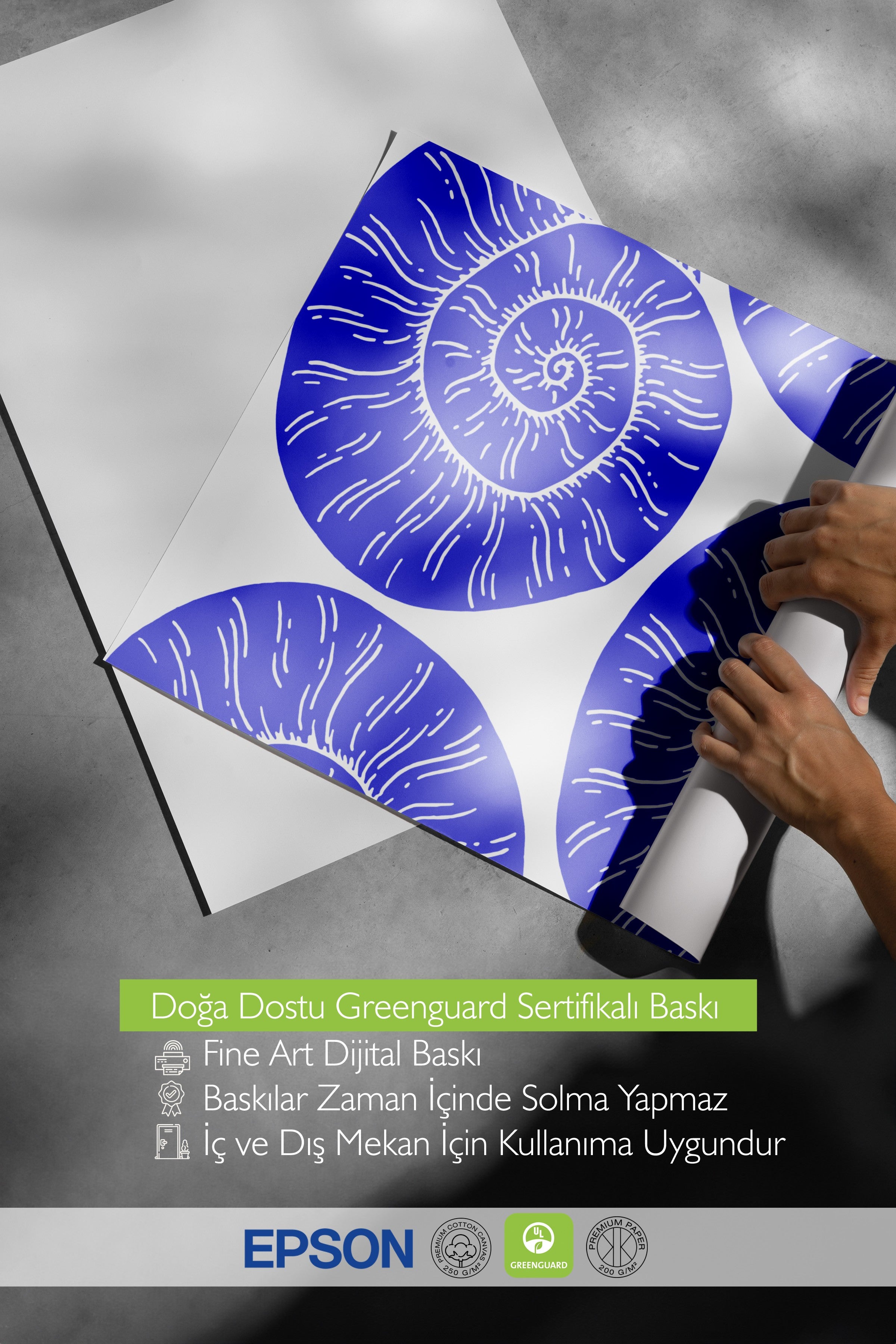 Çerçevesiz Duvar Posteri, Kabuk, illüstrasyon, Mavi, Beyaz Renk Poster, 2025 Yaz Seçkisi, NO:109842