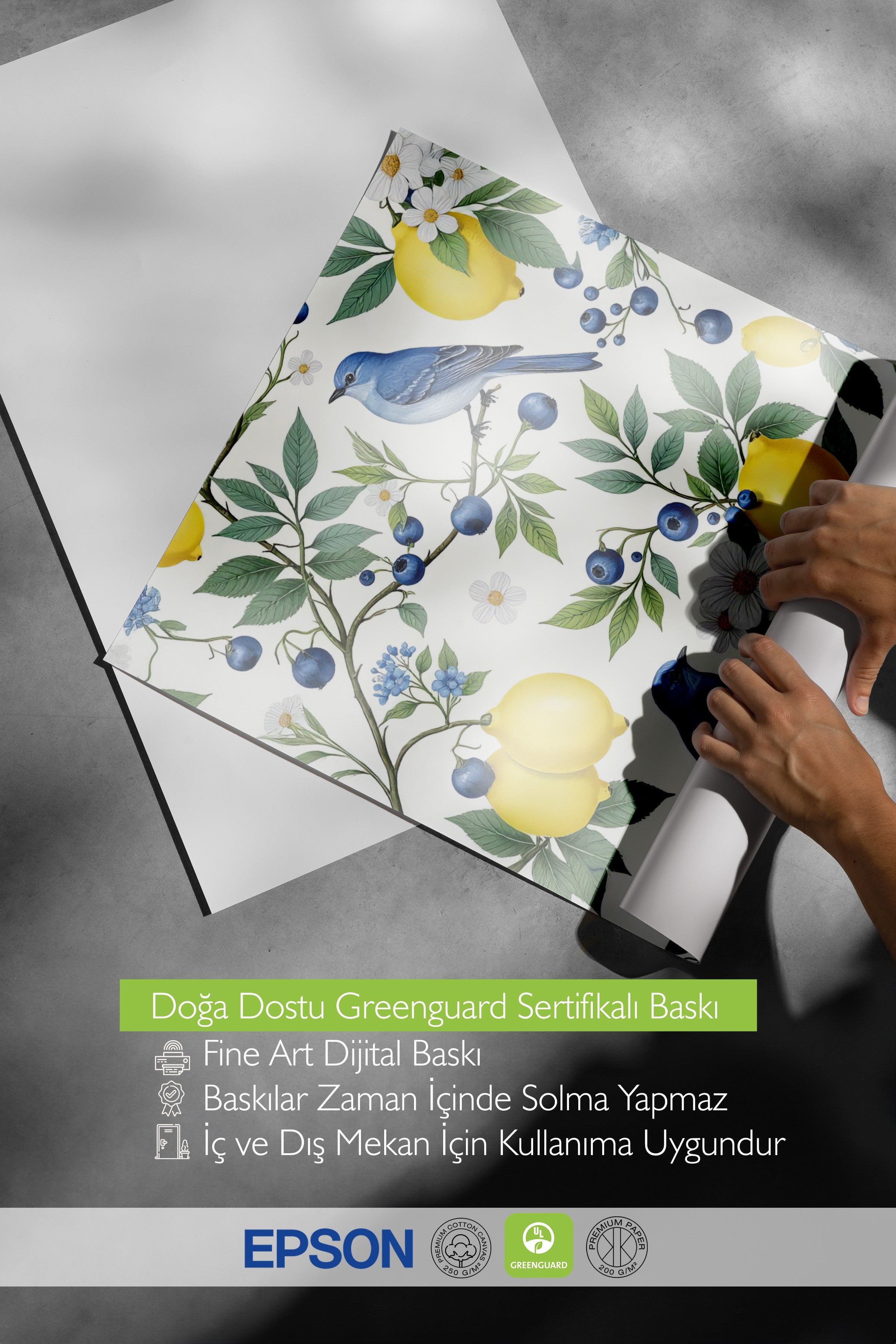Çerçevesiz Duvar Posteri, Kuşlu Limonlar, İllüstrasyon, Sarı Renk Poster, 2025 Yaz Seçkisi, NO:109541