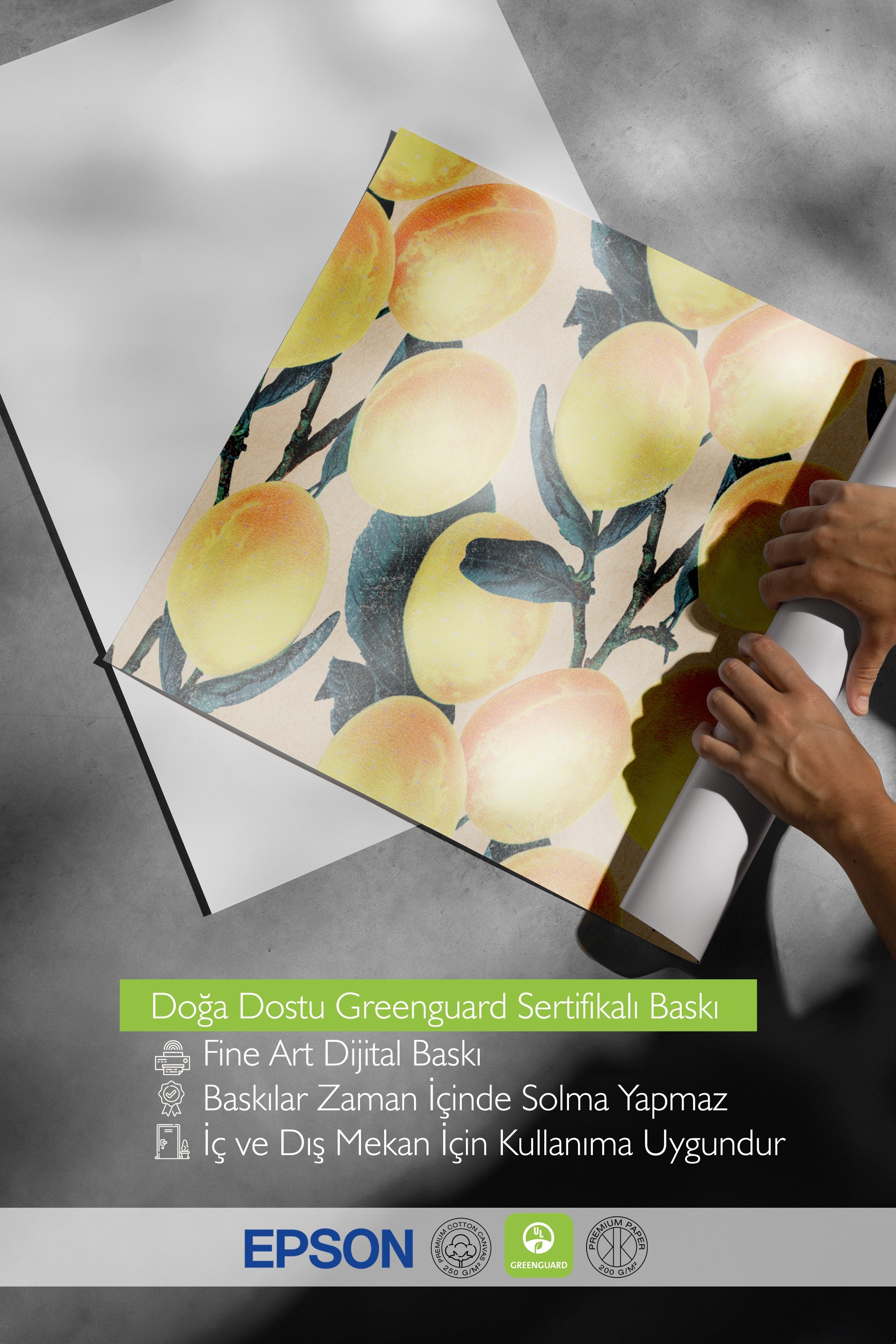 Çerçevesiz Duvar Posteri, Limonlar, Yapraklar, Botanik, İllüstrasyon, Sarı, Yeşil Renk Poster, 2025 Yaz Seçkisi, NO:109790