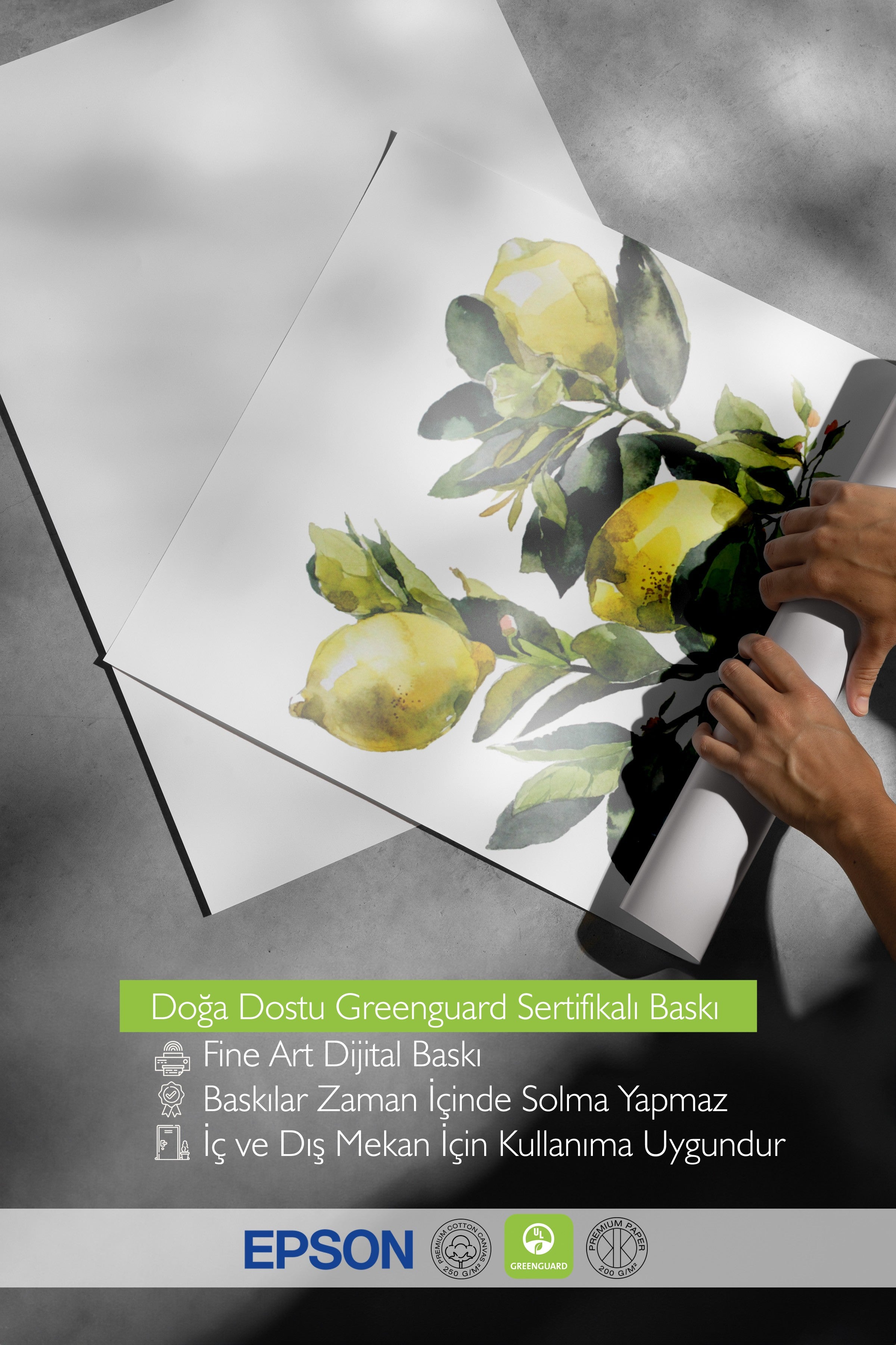 Çerçevesiz Duvar Posteri, Limonlar, Yapraklar, Suluboya, Yeşil, Sarı Renk Poster, 2025 Yaz Seçkisi, NO:109802