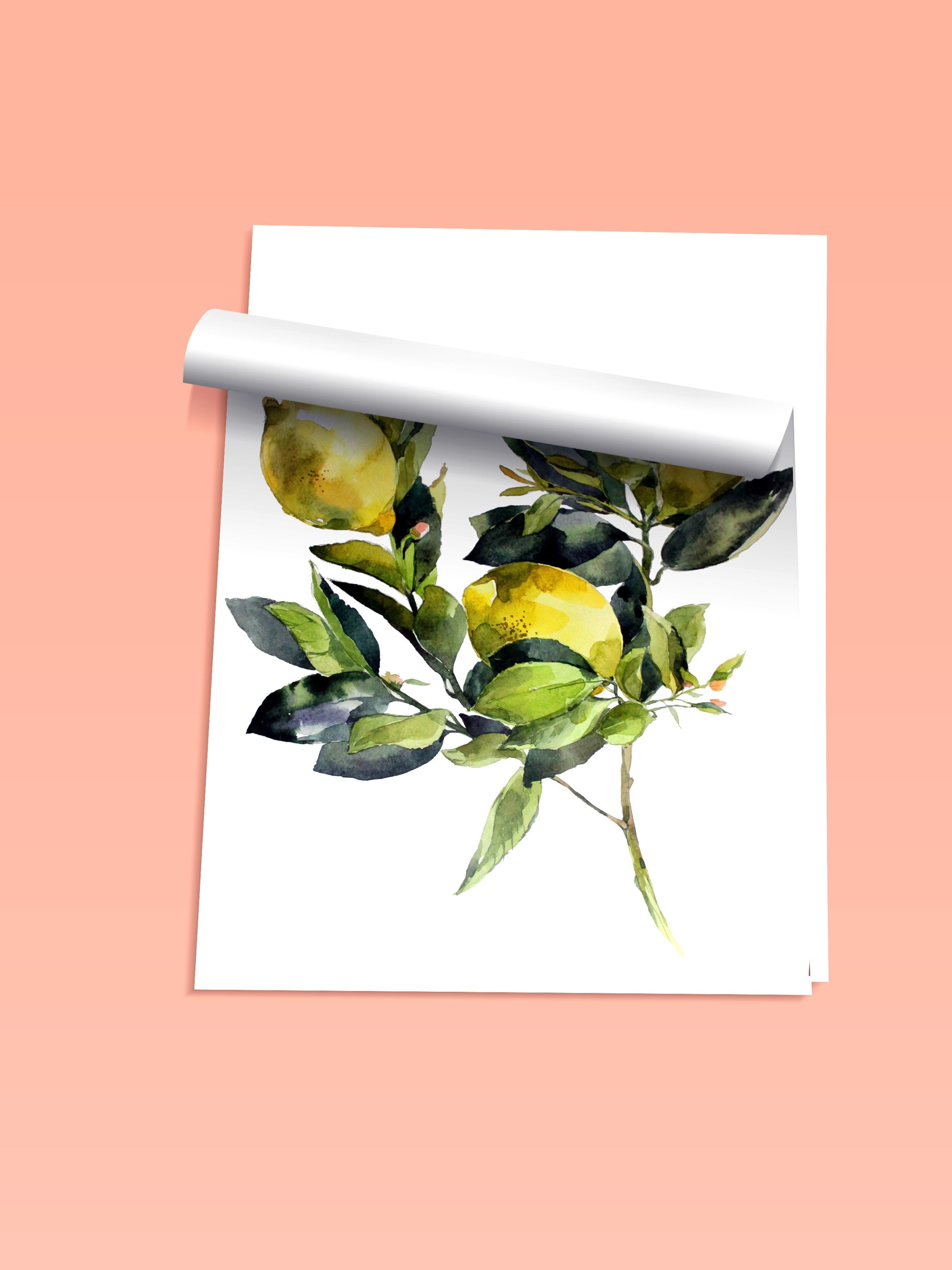 Çerçevesiz Duvar Posteri, Limonlar, Yapraklar, Suluboya, Yeşil, Sarı Renk Poster, 2025 Yaz Seçkisi, NO:109802