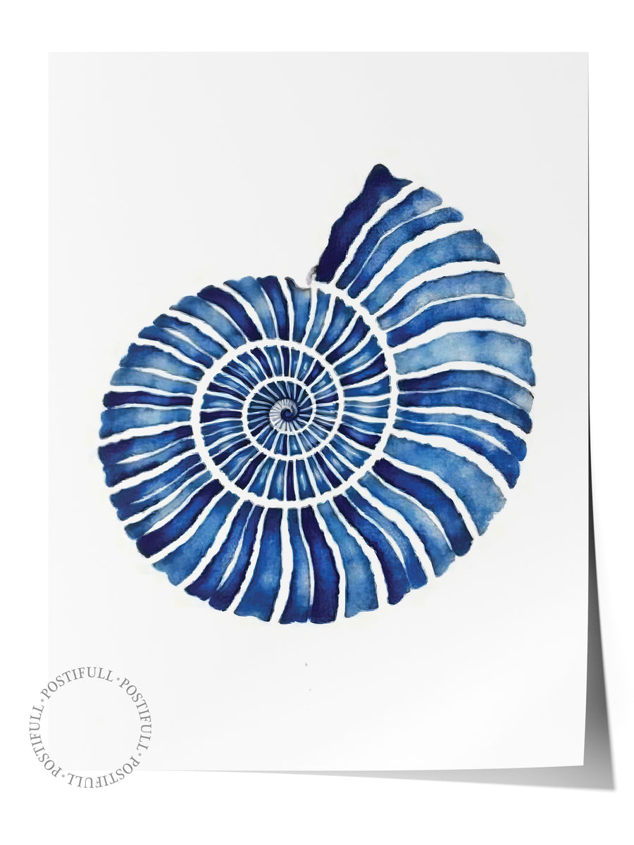 Deniz Kabuklu Desen Poster Yaz Seçkisi Çerçevesiz Poster