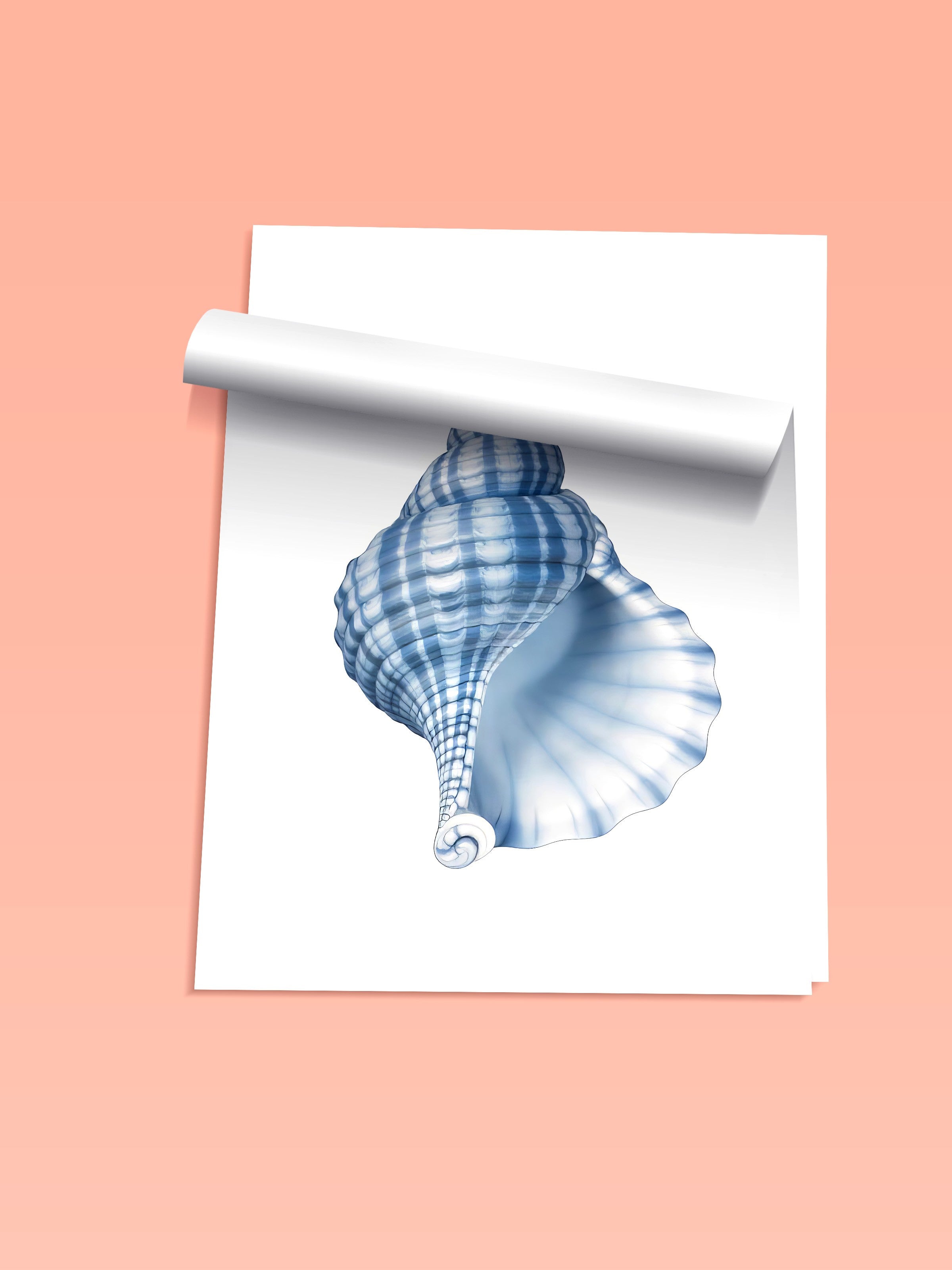 Çerçevesiz Duvar Posteri, Mavi Deniz Kabuğu, İllüstrasyon, Mavi Renk Poster, 2025 Yaz Seçkisi, NO:109741