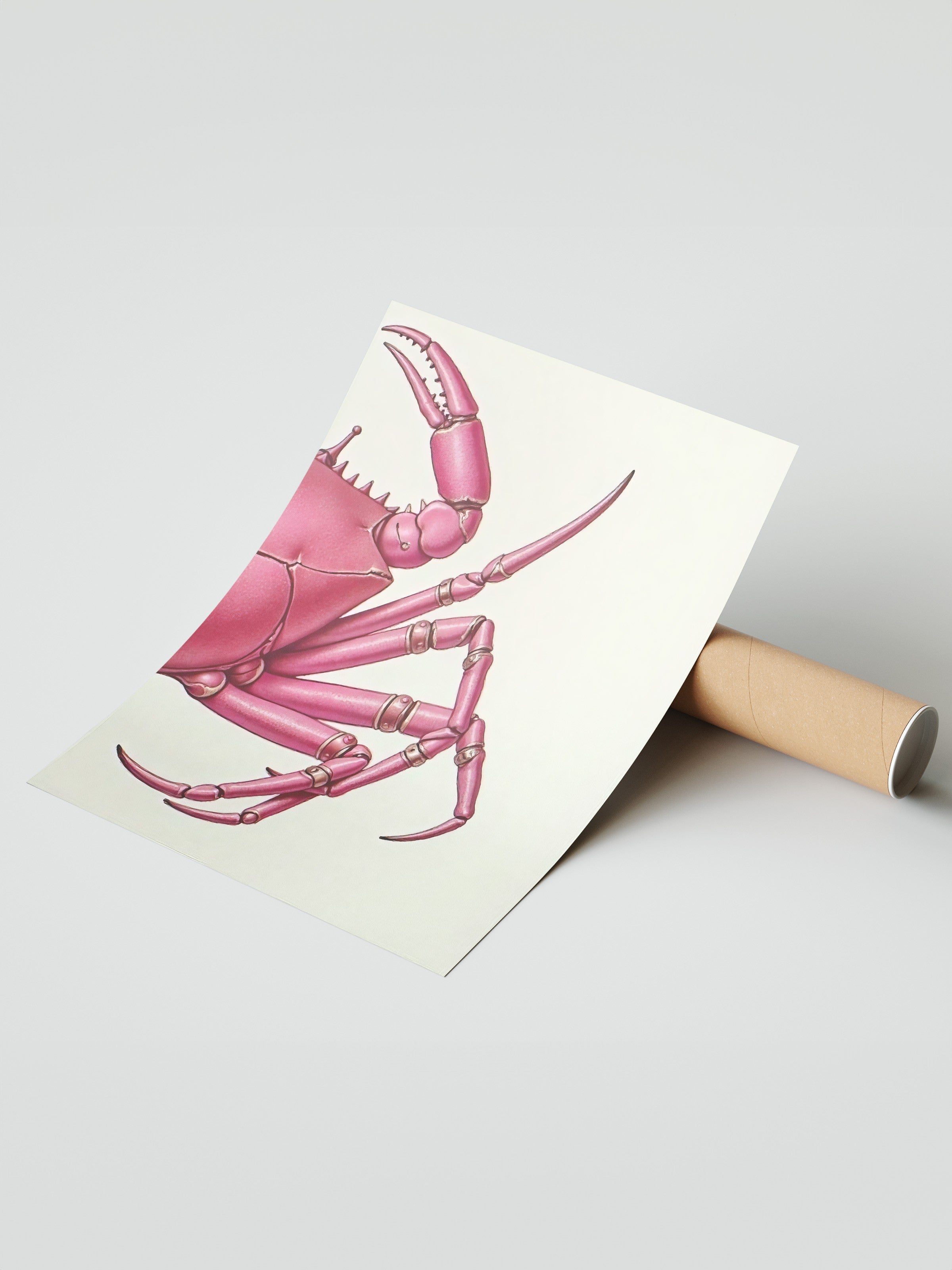 Çerçevesiz Duvar Posteri, Pembe Yengeç, İllüstrasyon, Pembe Renk Poster, 2025 Yaz Seçkisi, NO:109598