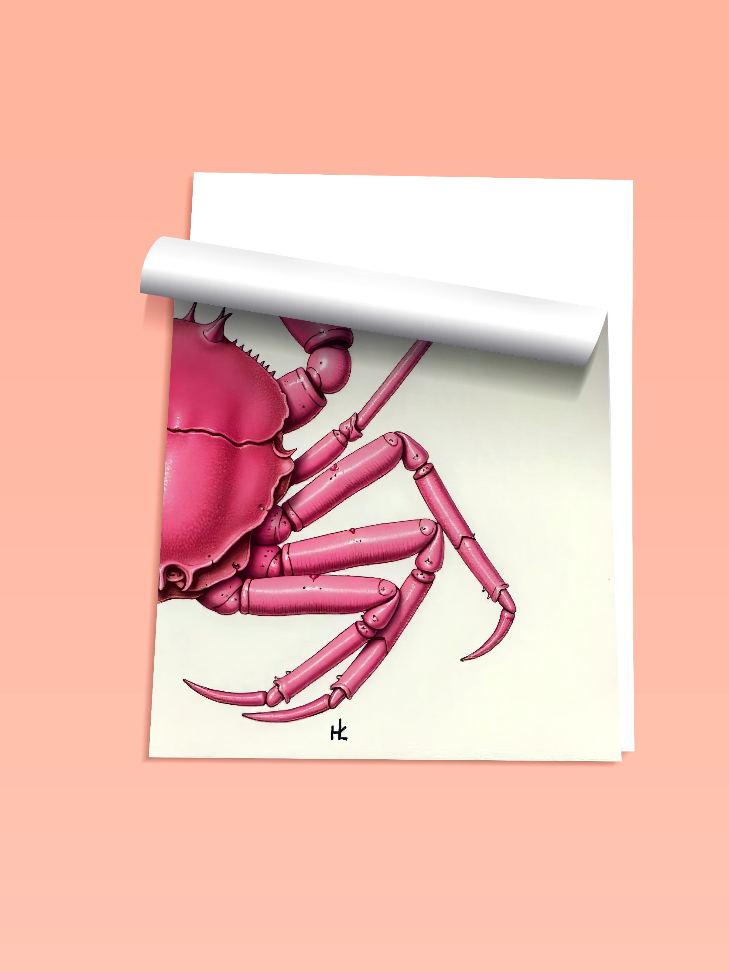 Çerçevesiz Duvar Posteri, Pembe Yengeç, İllüstrasyon, Pembe Renk Poster, 2025 Yaz Seçkisi, NO:109721