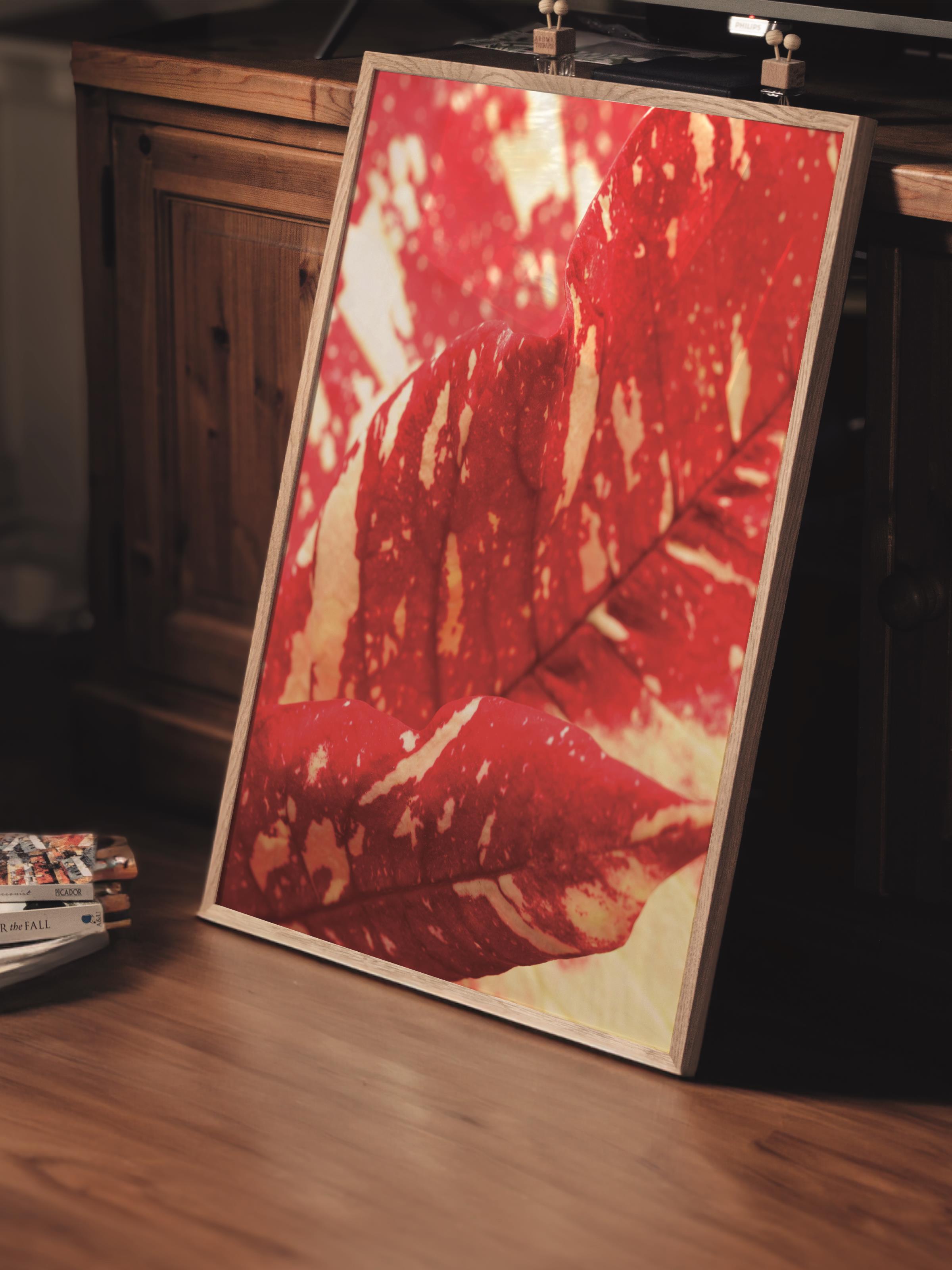 Çerçevesiz Poster, Botanik & Yaprak Tablo No:15, HD Fotoğraf, Salon, Mutfak Duvar Dekoru Poster
