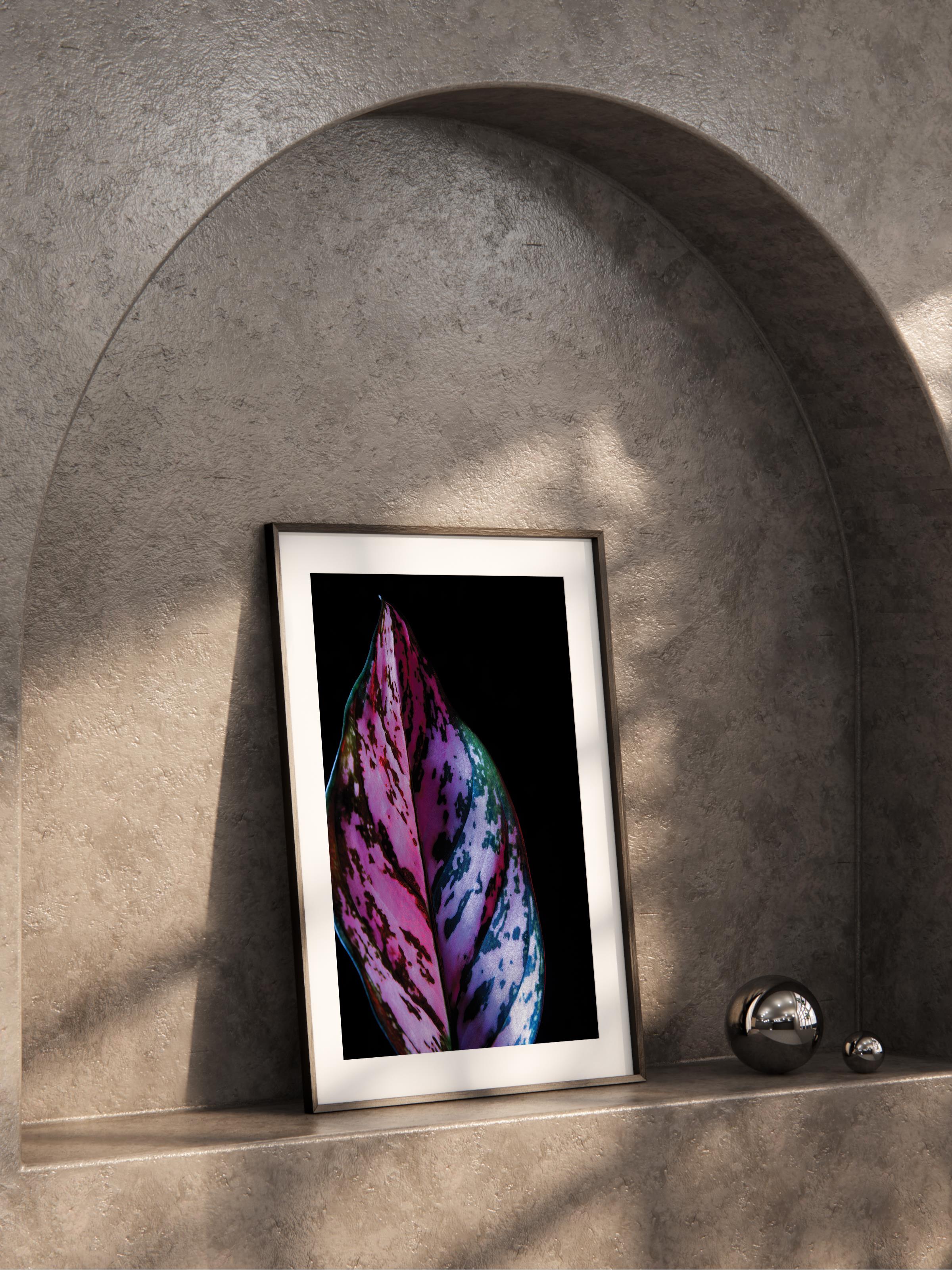 Çerçevesiz Poster, Botanik & Yaprak Tablo No:22, HD Fotoğraf, Salon, Mutfak Duvar Dekoru Poster