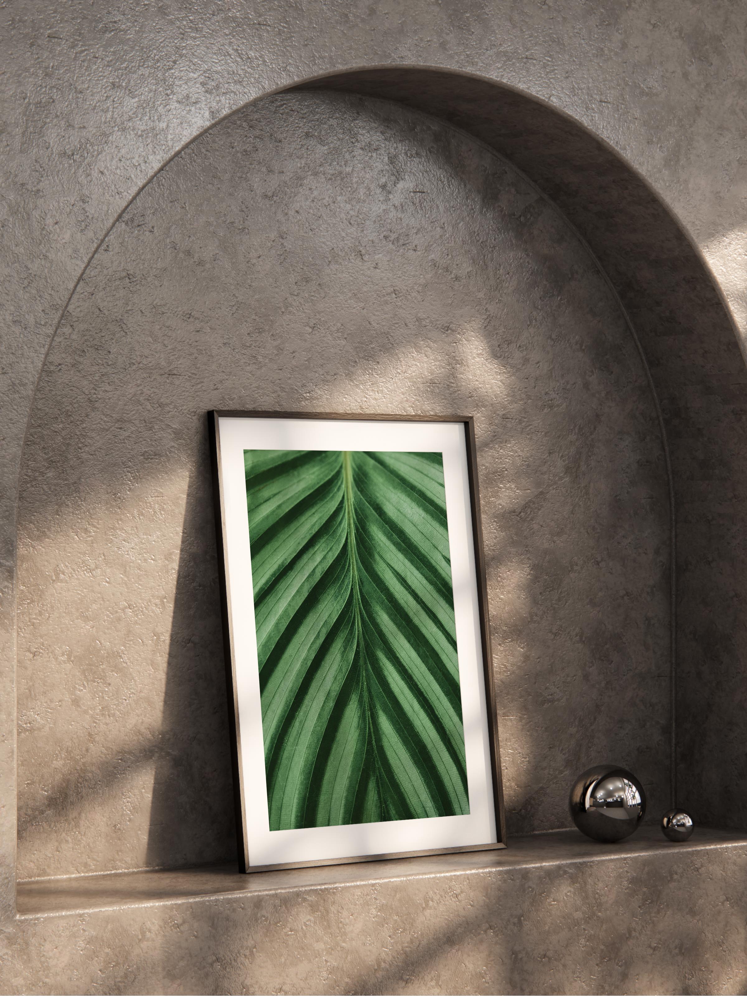 Çerçevesiz Poster, Botanik & Yaprak Tablo No:28, HD Fotoğraf, Salon, Mutfak Duvar Dekoru Poster