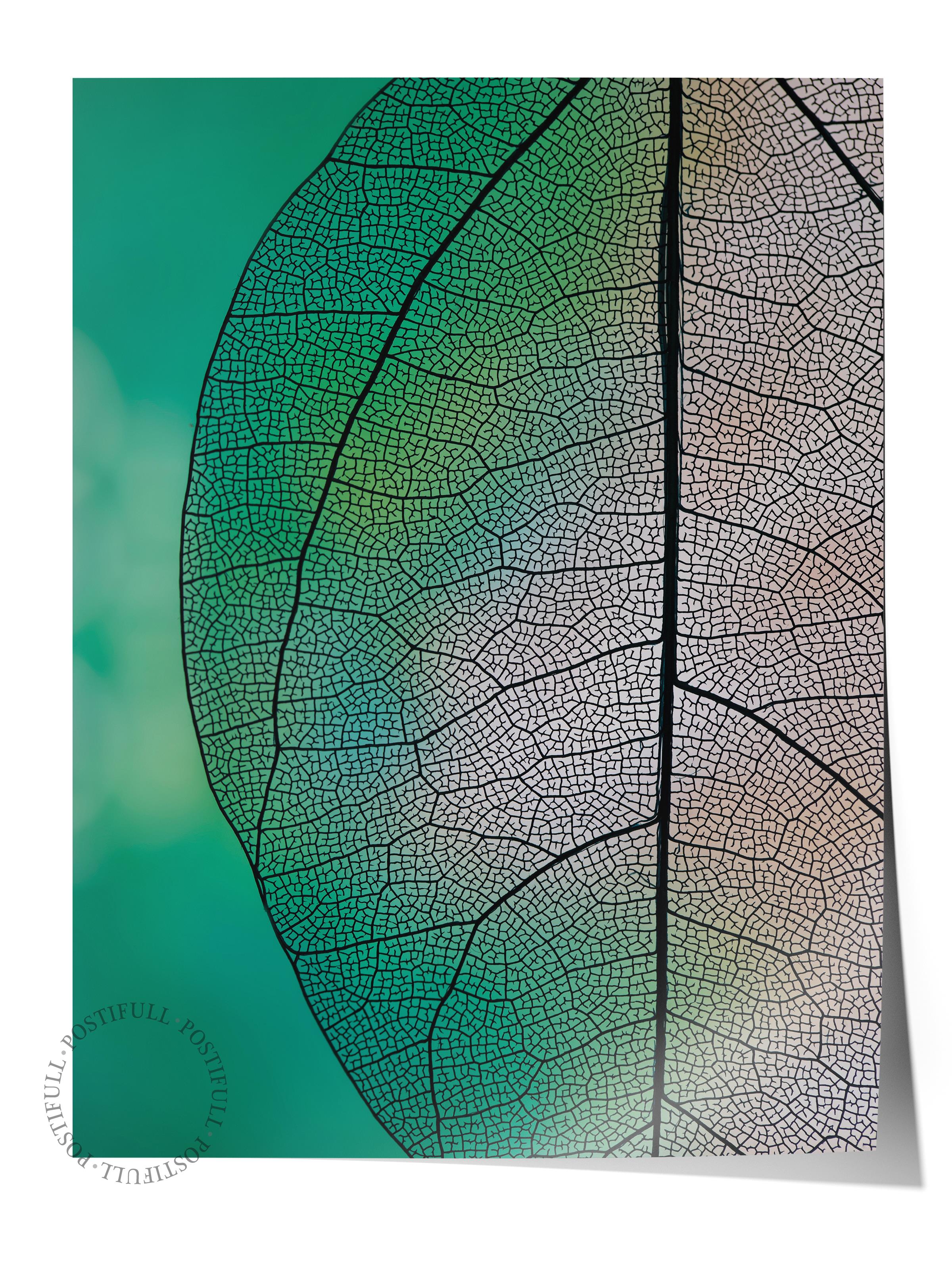 Çerçevesiz Poster, Botanik & Yaprak Tablo No:39, HD Fotoğraf, Salon, Mutfak Duvar Dekoru Poster