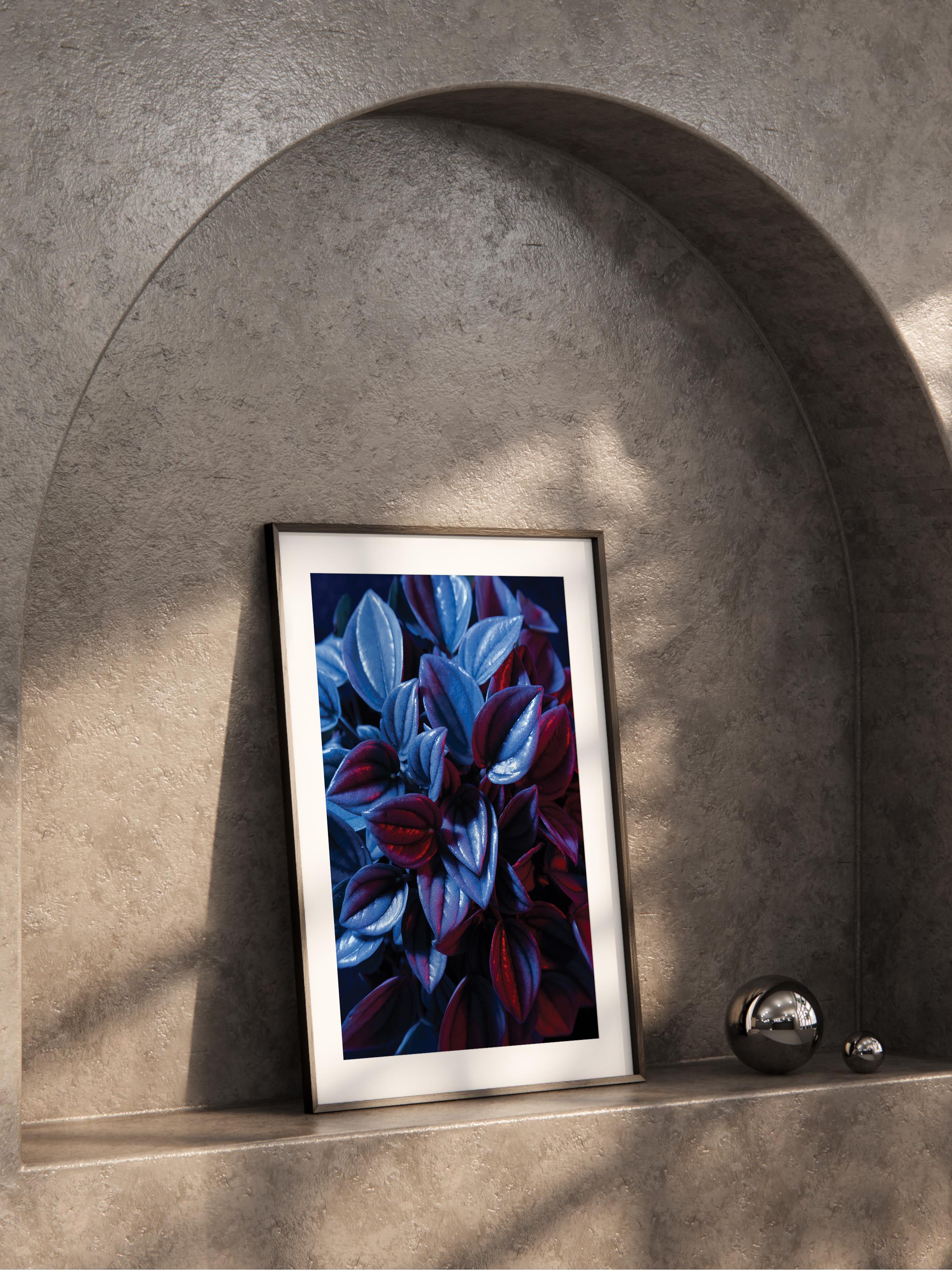 Çerçevesiz Poster, Botanik & Yaprak Tablo No:4, HD Fotoğraf, Salon, Mutfak Duvar Dekoru Poster