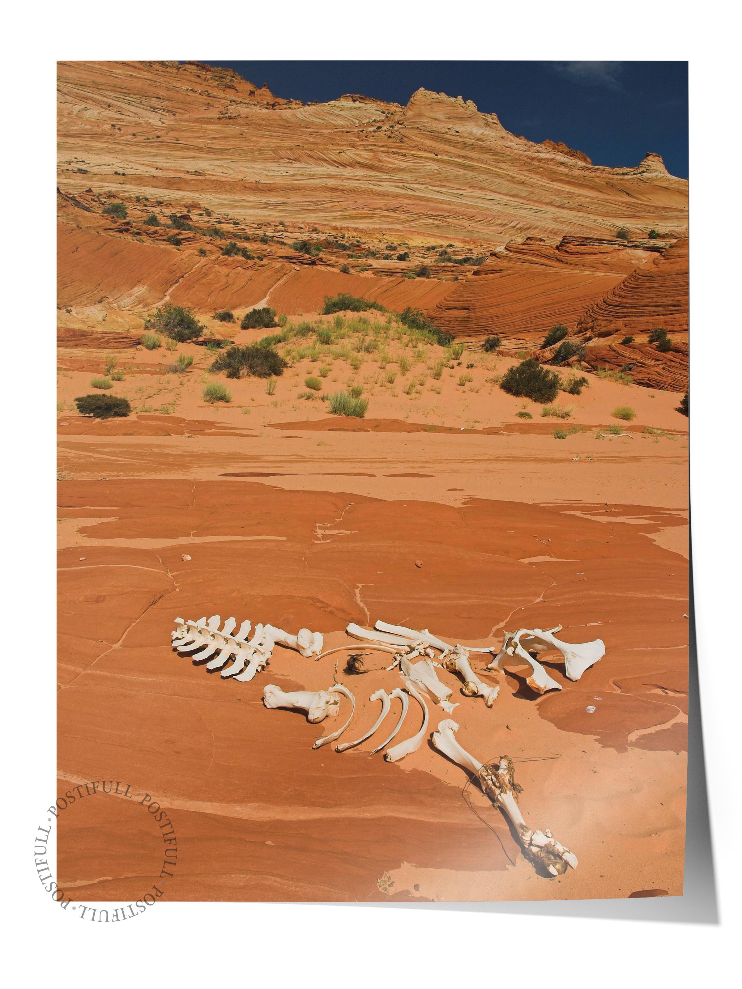 Çerçevesiz Poster, Çöl Tablo No:2, HD Fotoğraf, Salon, Mutfak Duvar Dekoru Poster