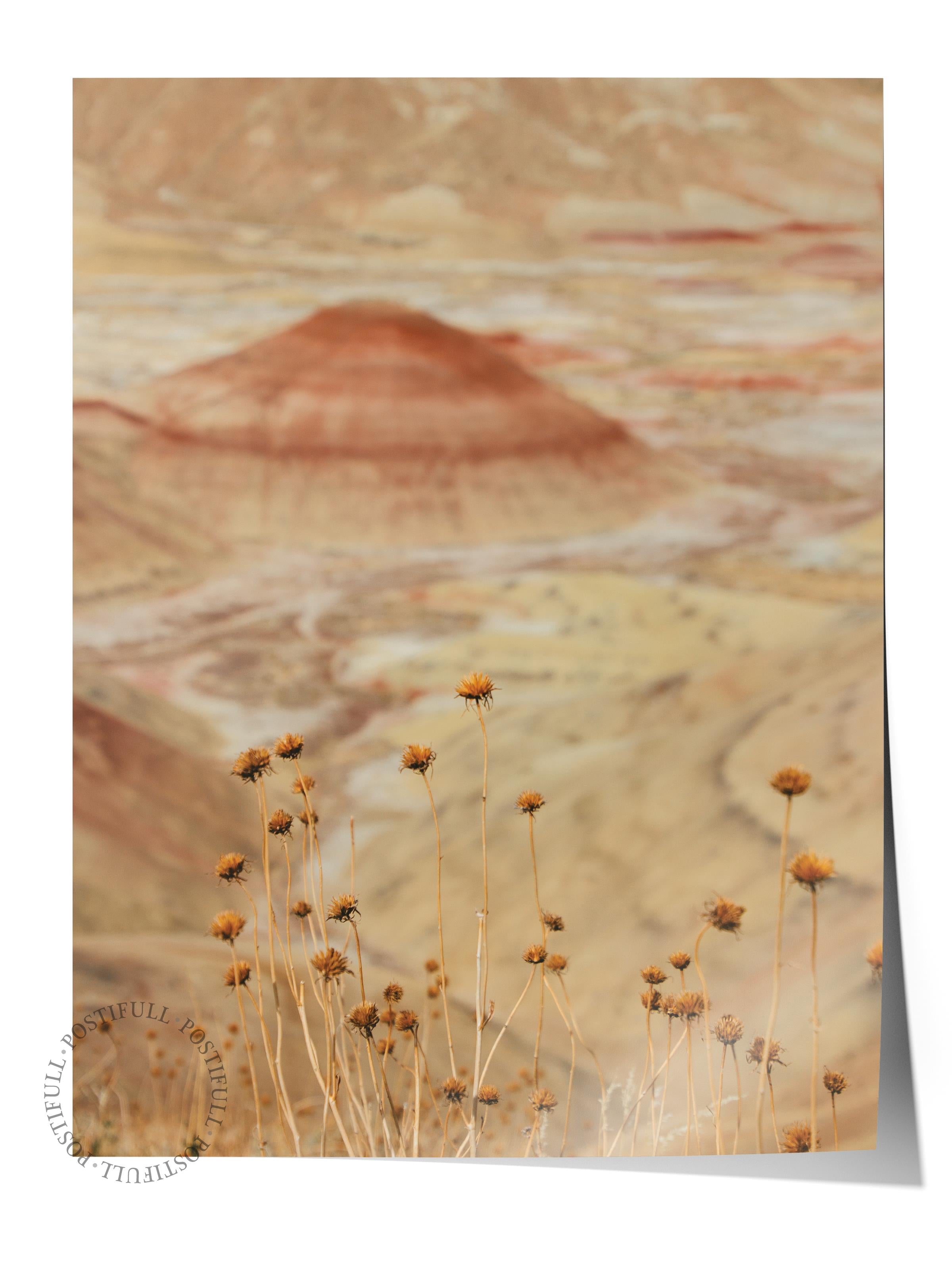 Çerçevesiz Poster, Çöl Tablo No:43, HD Fotoğraf, Salon, Mutfak Duvar Dekoru Poster