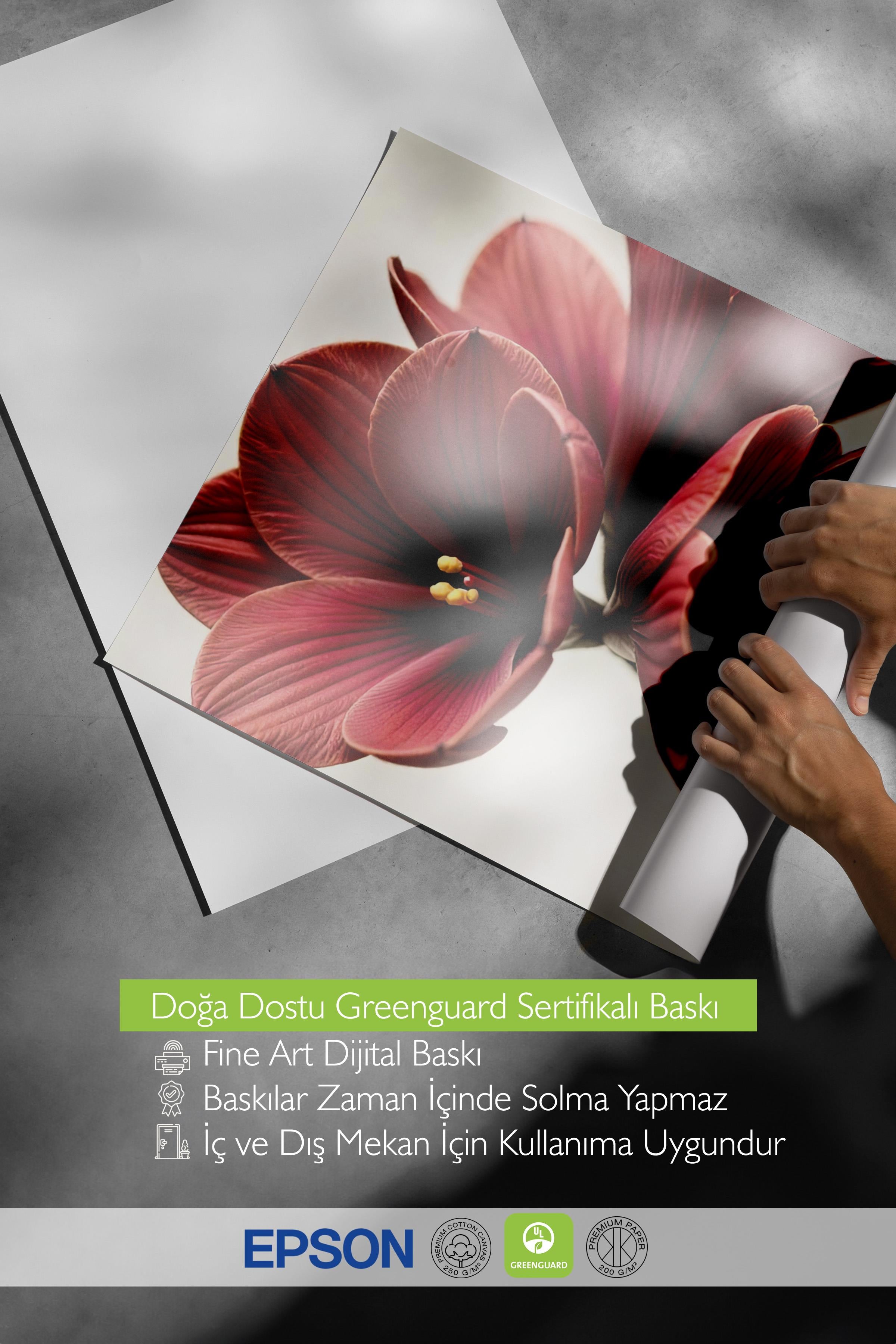 Çerçevesiz Yılbaşı Posteri, Yılbaşı Dekoru, Comfort Serisi, Amaryllis in Red Poster, NO:108644