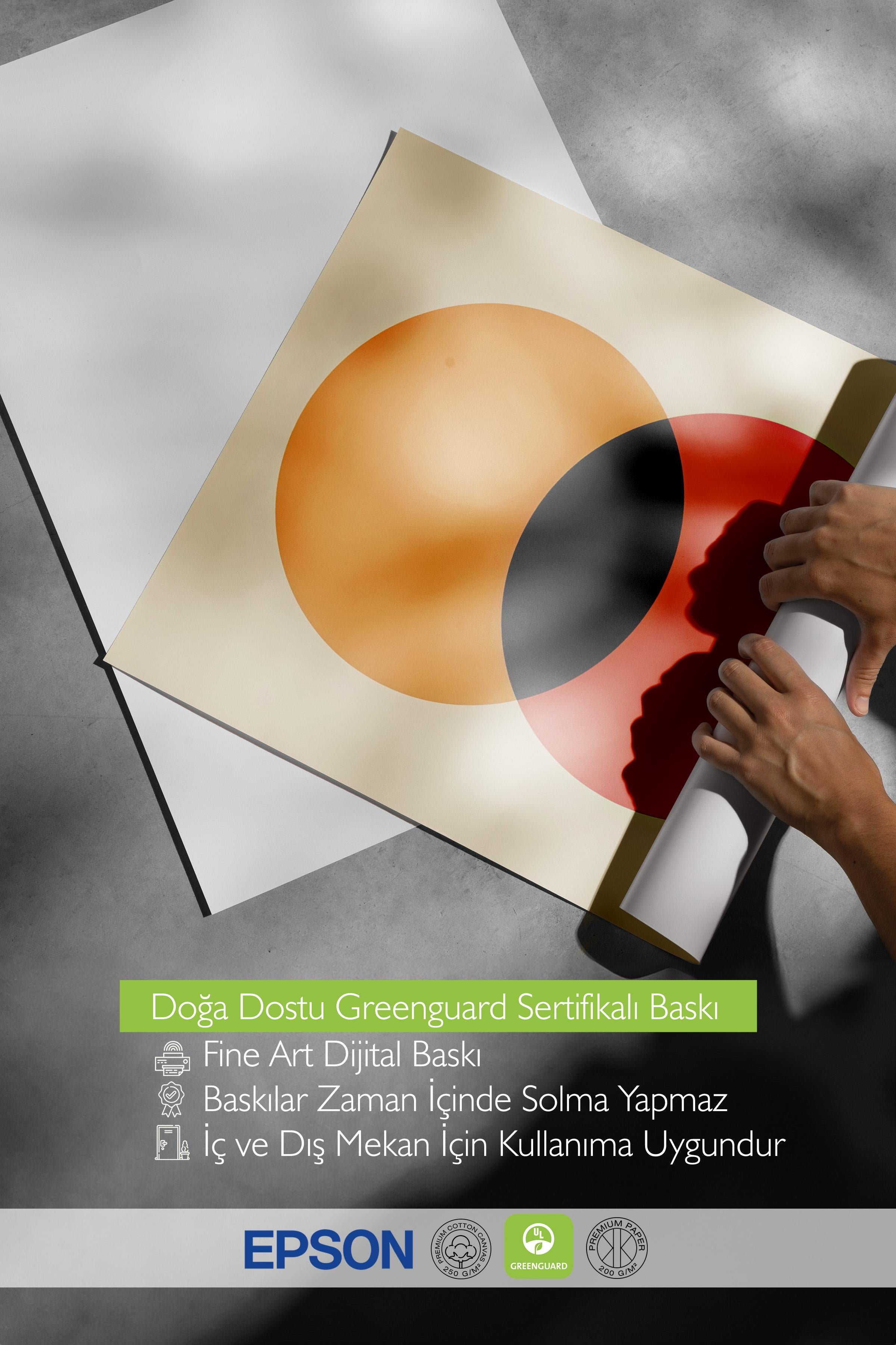 Çerçevesiz Poster, HD Kalite Duvar Posteri,Comfort Serisi, Bauhaus Circles Poster, NO:108613