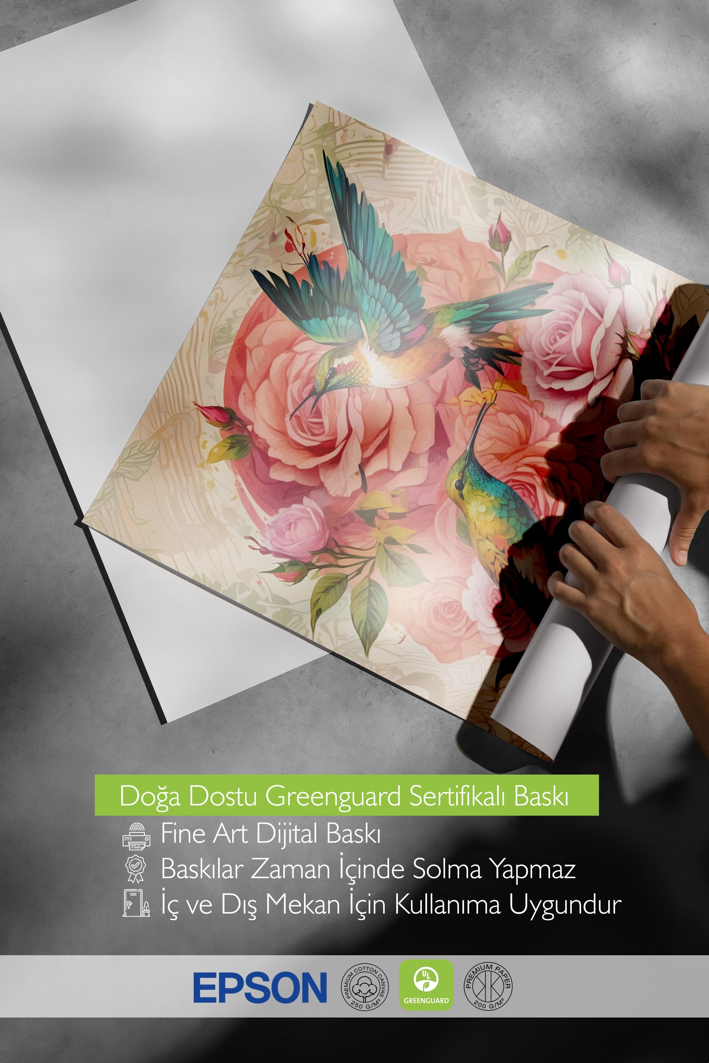 Çerçevesiz Poster, Comfort Serisi, Candy Garden - Paradise Birds Poster, NO:108616