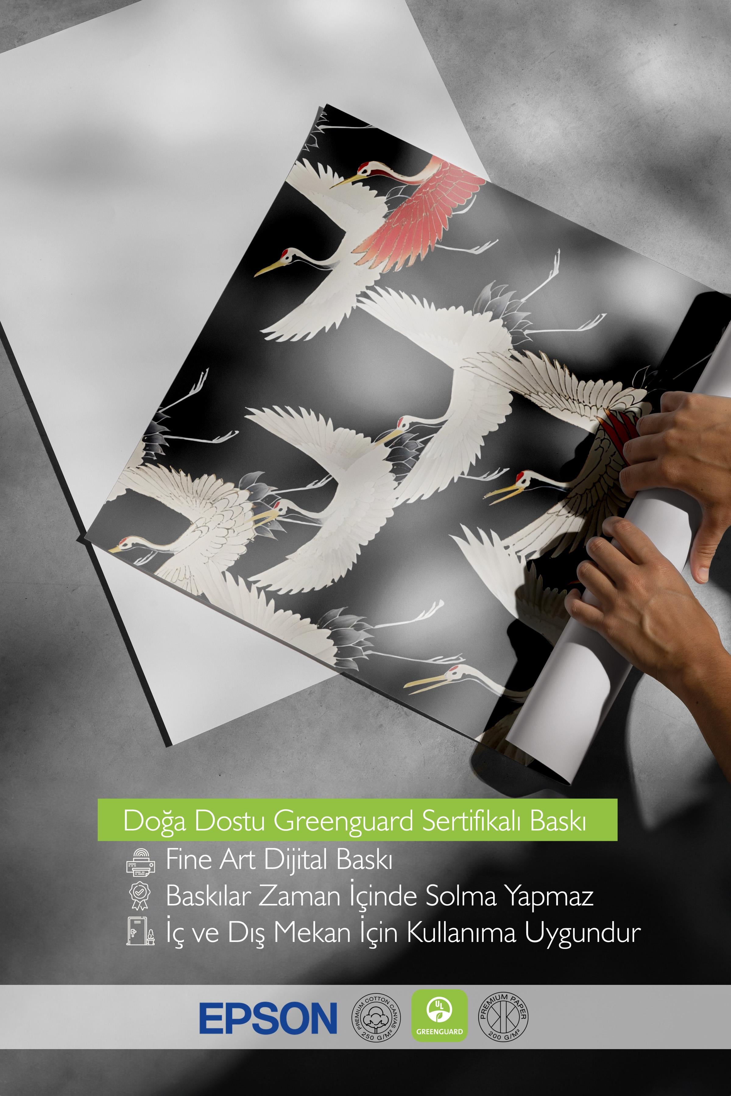 Çerçevesiz Poster, HD Kalite Duvar Posteri,Comfort Serisi, Crane Birds Black Poster, NO:108724