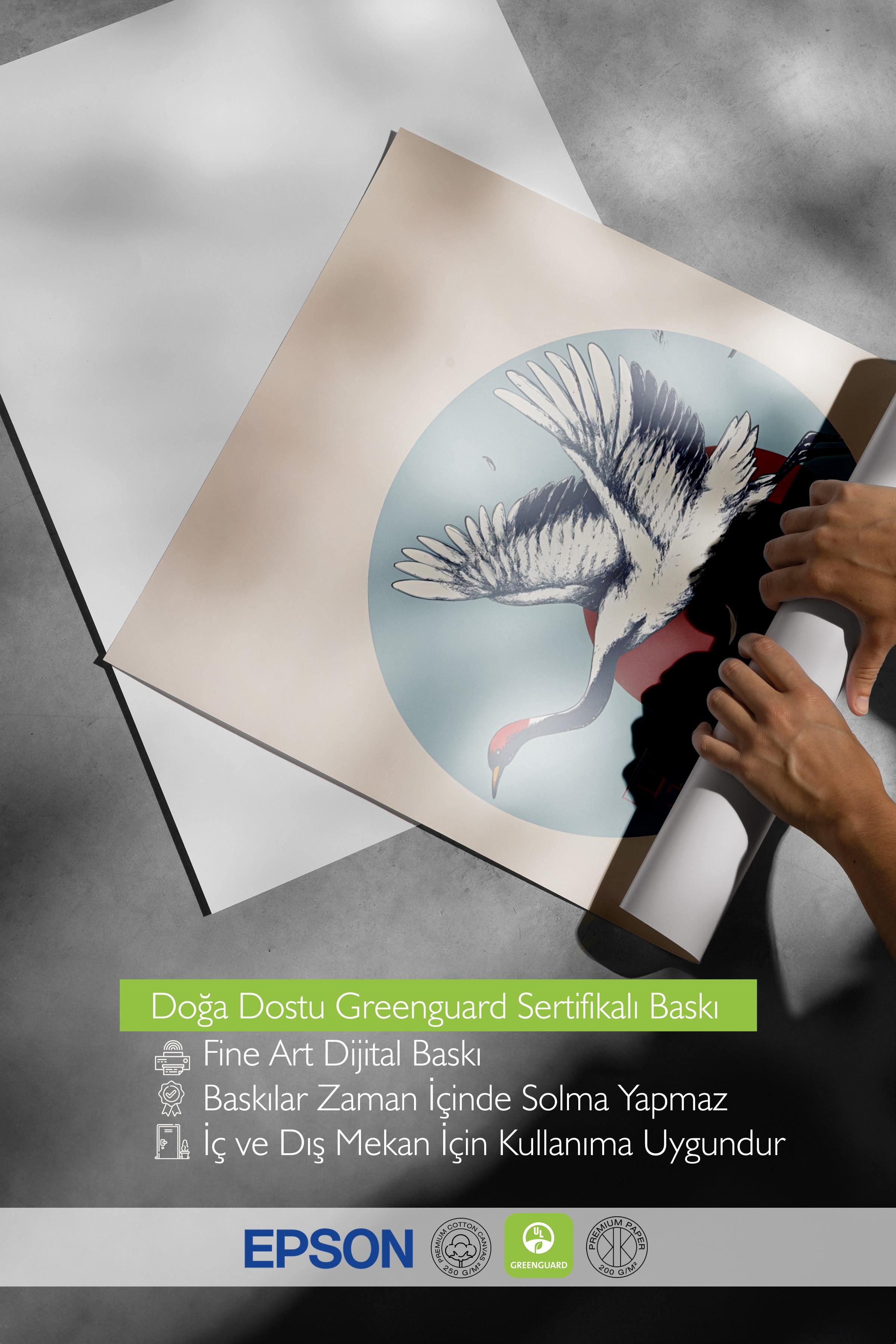 Çerçevesiz Poster, Comfort Serisi, Japanese Crane Flying Poster, NO:108699