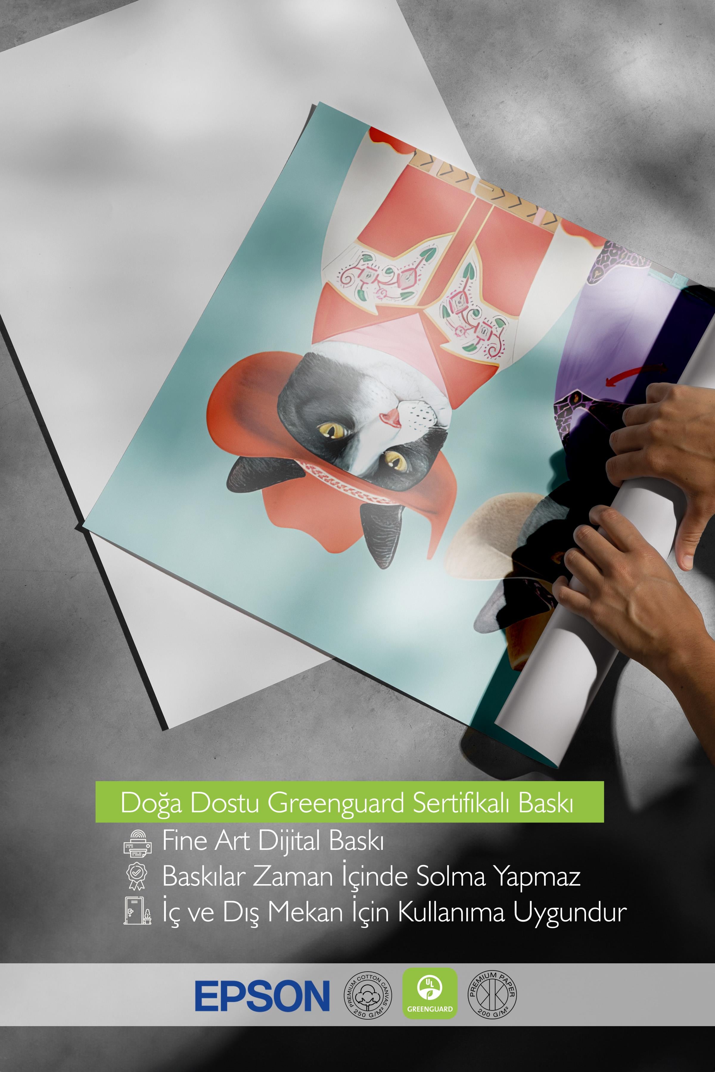 Çerçevesiz Poster, HD Kalite Duvar Posteri,Comfort Serisi, Rodeo Cats Art Poster, NO:108730