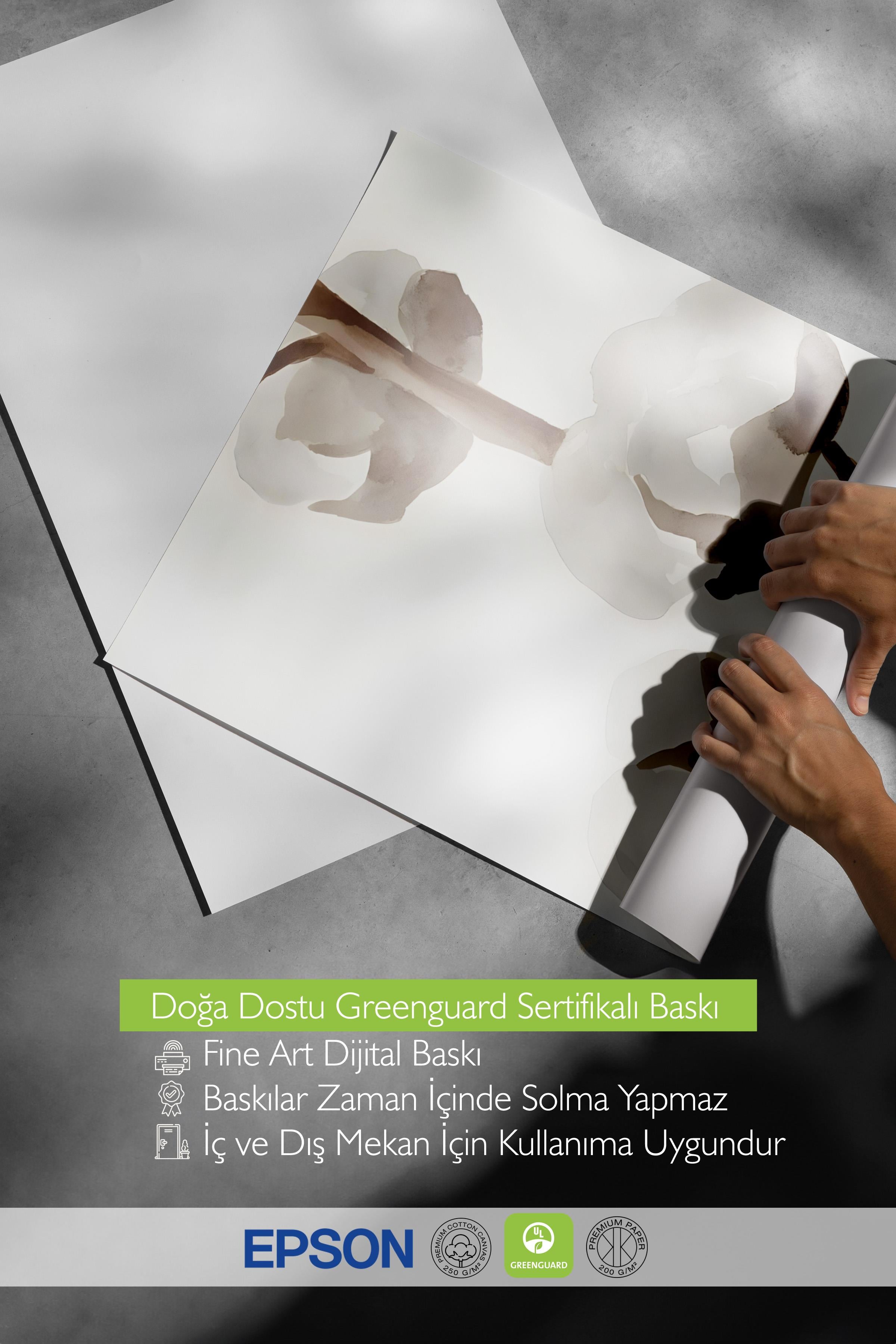 Çerçevesiz Poster, Duvar Posteri, Aquarelle Cotton Flowers Poster, NO:108584