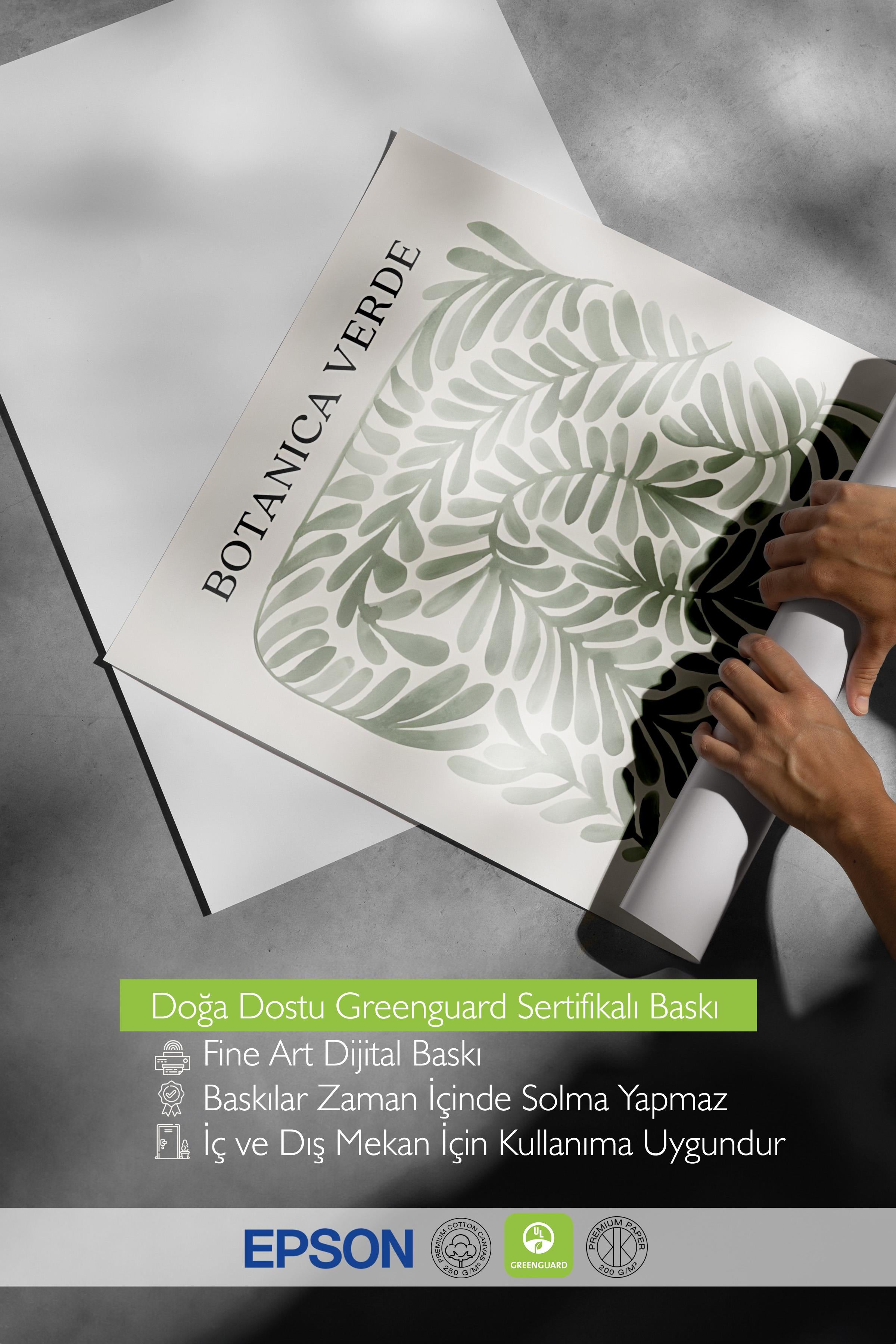 Çerçevesiz Poster, Duvar Posteri, Botanica Verde Poster, NO:108594