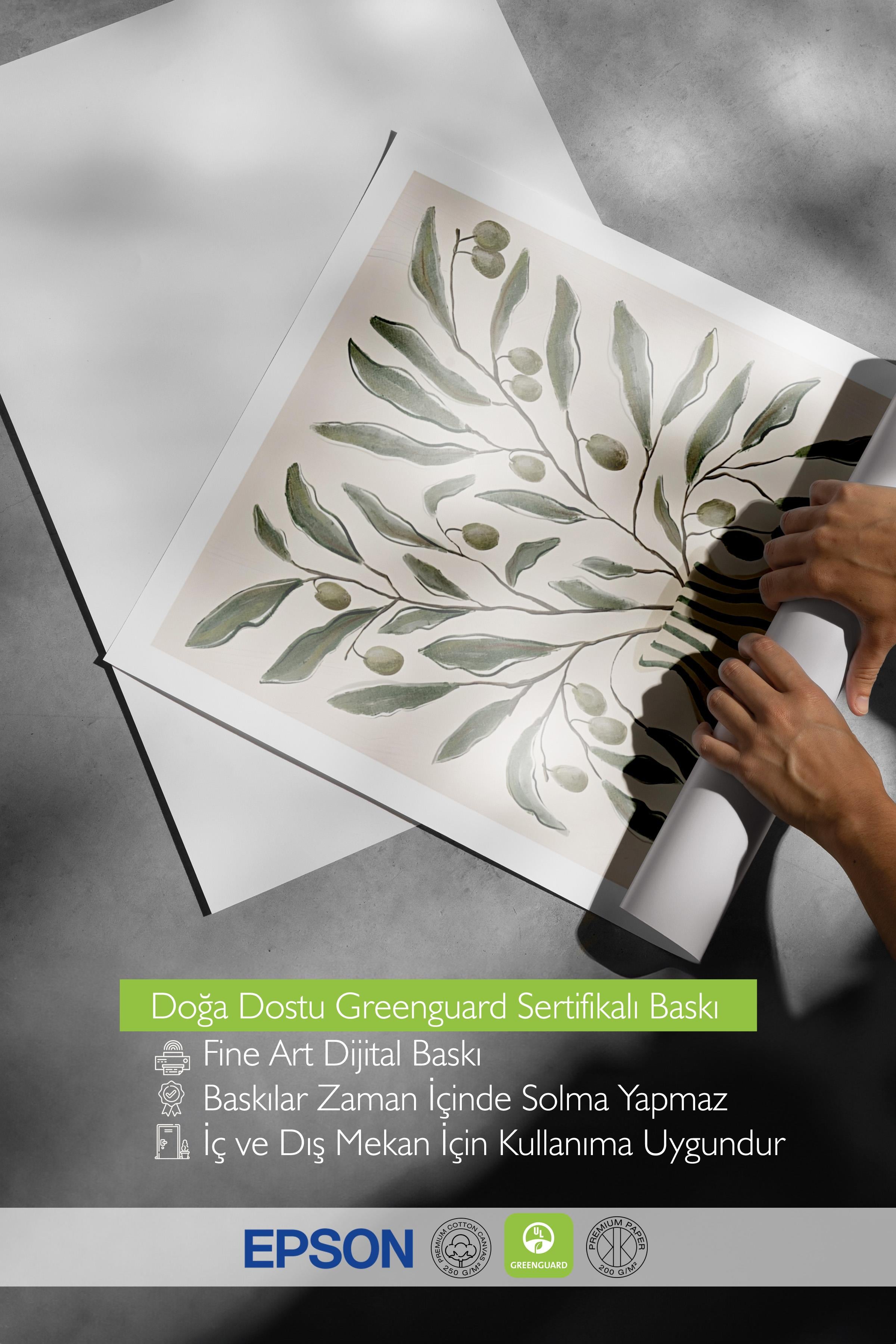 Çerçevesiz Poster, Duvar Posteri, Olive Branches in Vase Poster, NO:108593