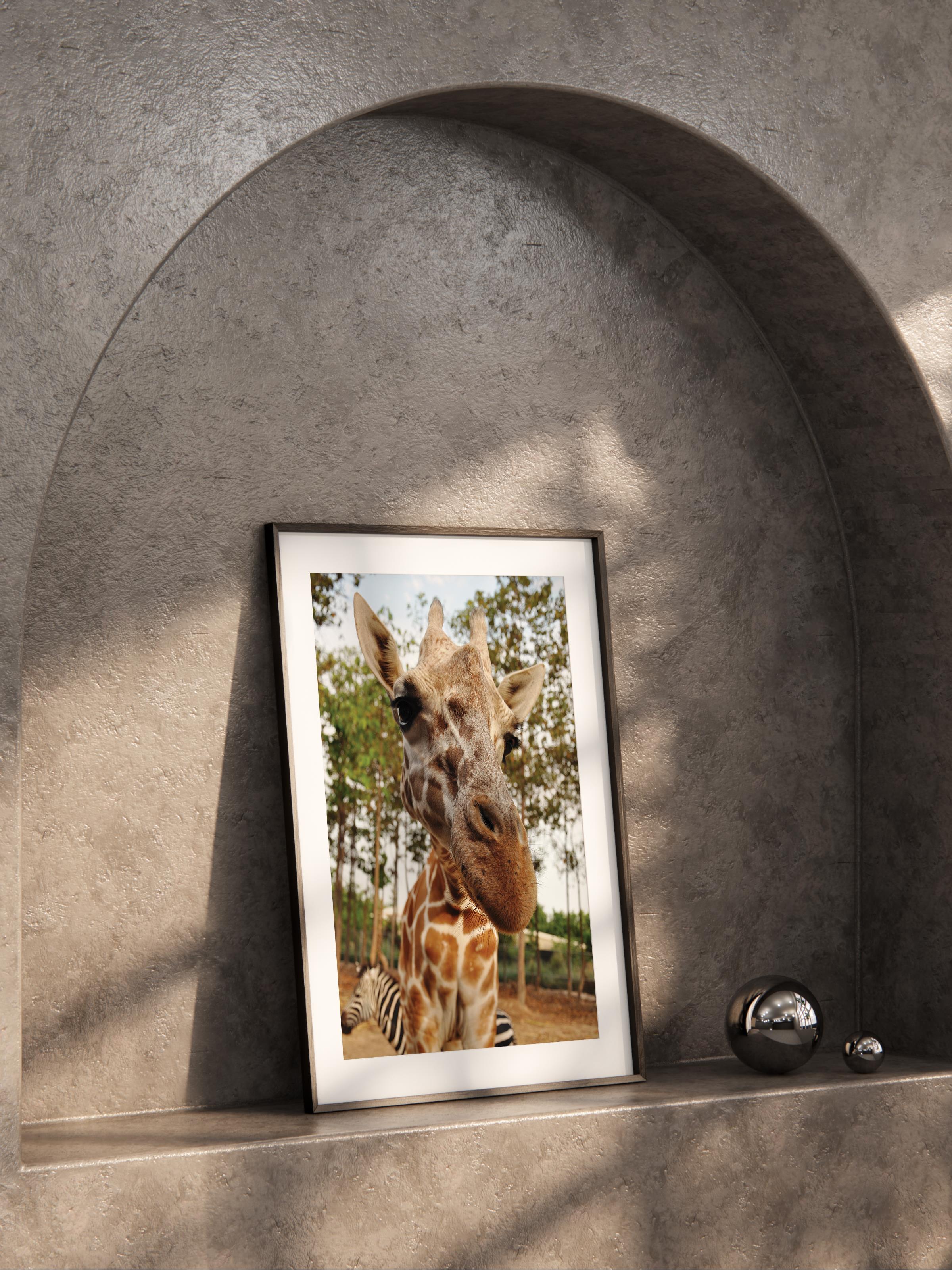 Çerçevesiz Poster, Hayvanlar & Safari Tablo No:10, HD Fotoğraf, Salon, Mutfak Duvar Dekoru Poster