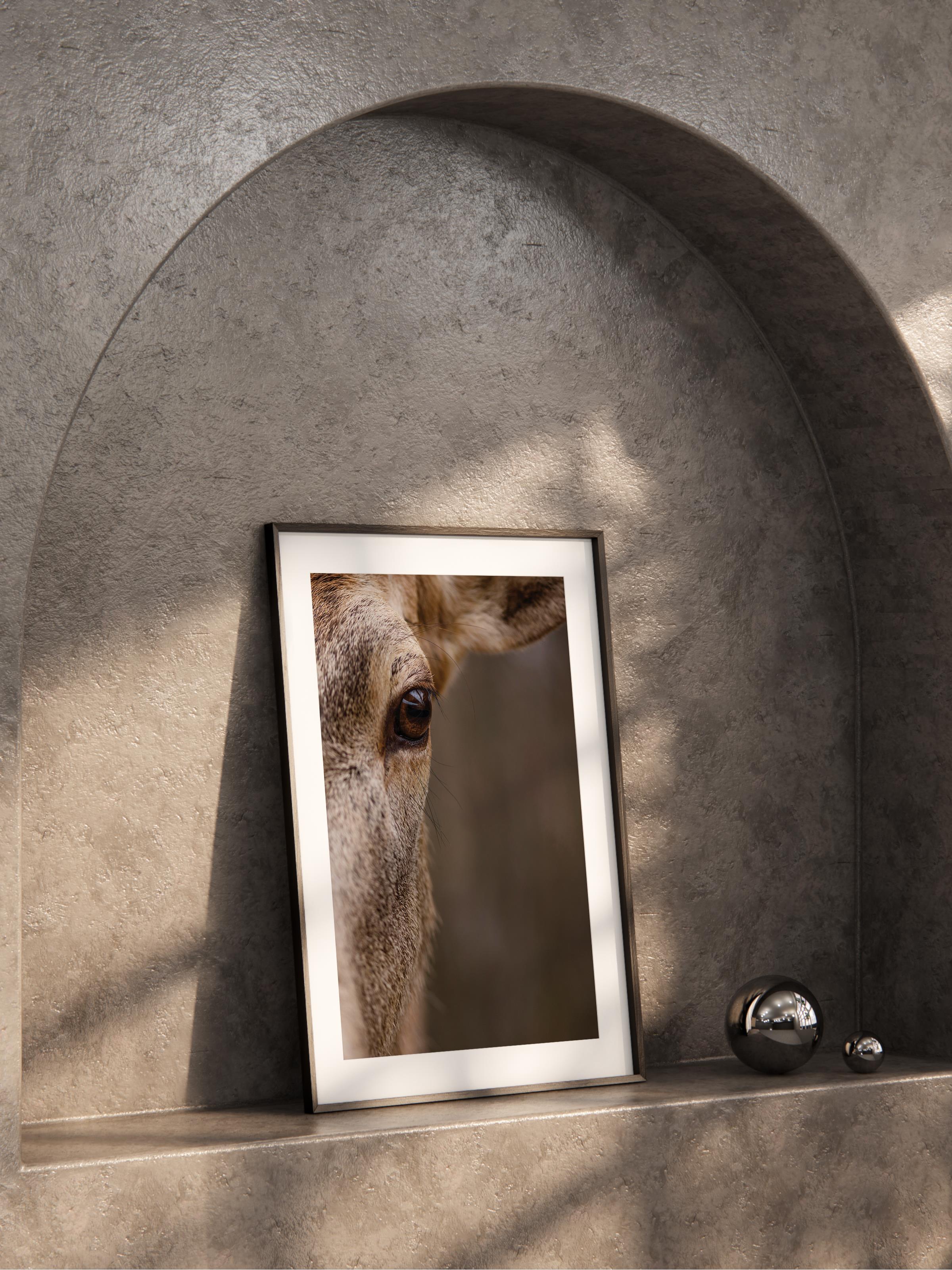 Çerçevesiz Poster, Hayvanlar & Safari Tablo No:11, HD Fotoğraf, Salon, Mutfak Duvar Dekoru Poster