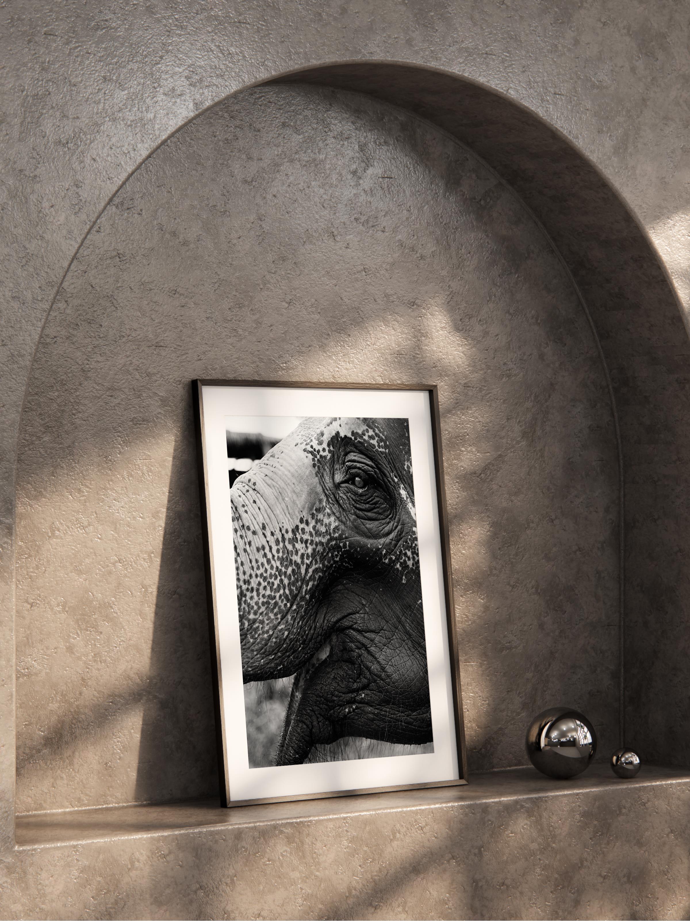 Çerçevesiz Poster, Hayvanlar & Safari Tablo No:12, HD Fotoğraf, Salon, Mutfak Duvar Dekoru Poster