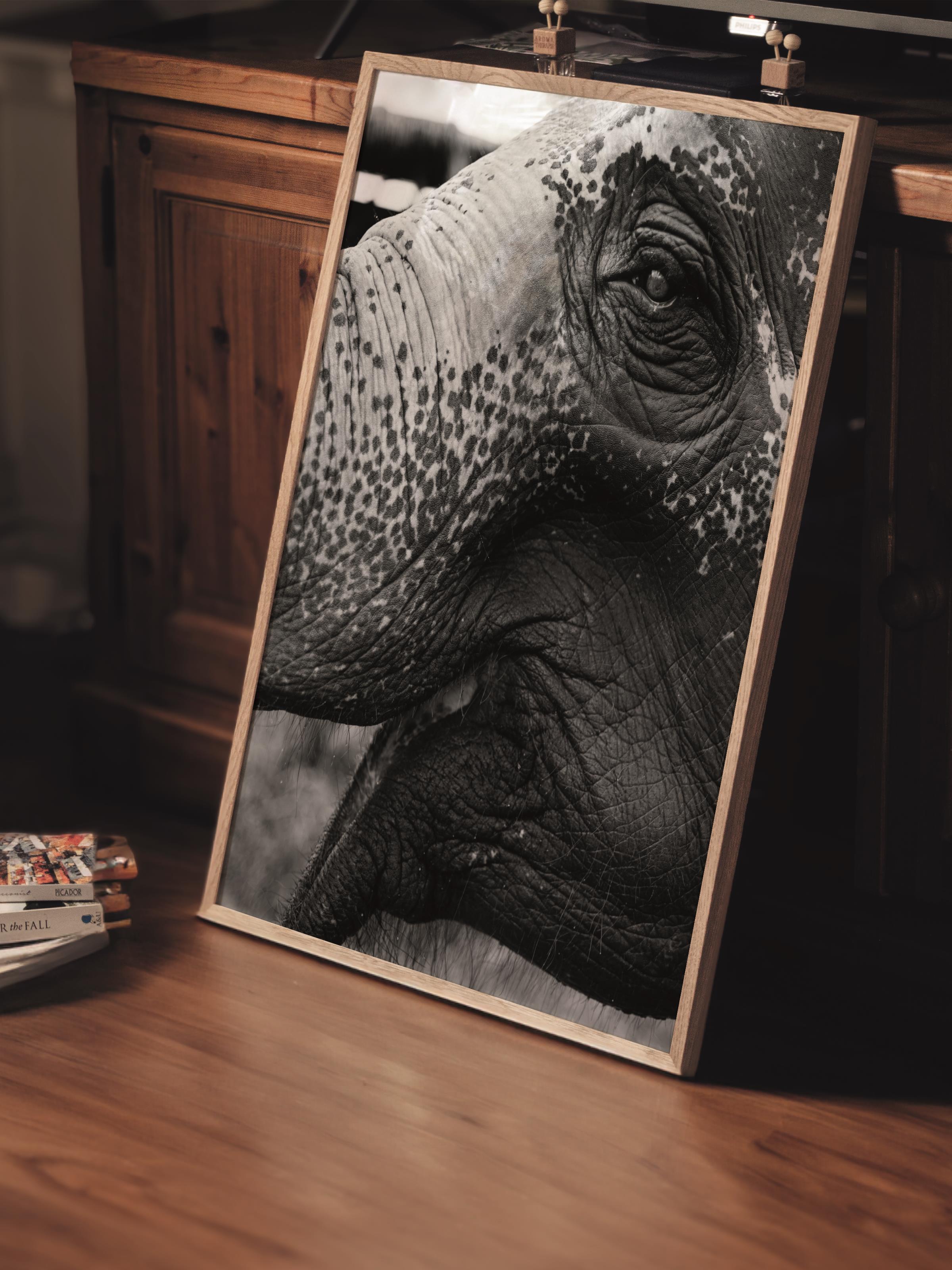 Çerçevesiz Poster, Hayvanlar & Safari Tablo No:12, HD Fotoğraf, Salon, Mutfak Duvar Dekoru Poster