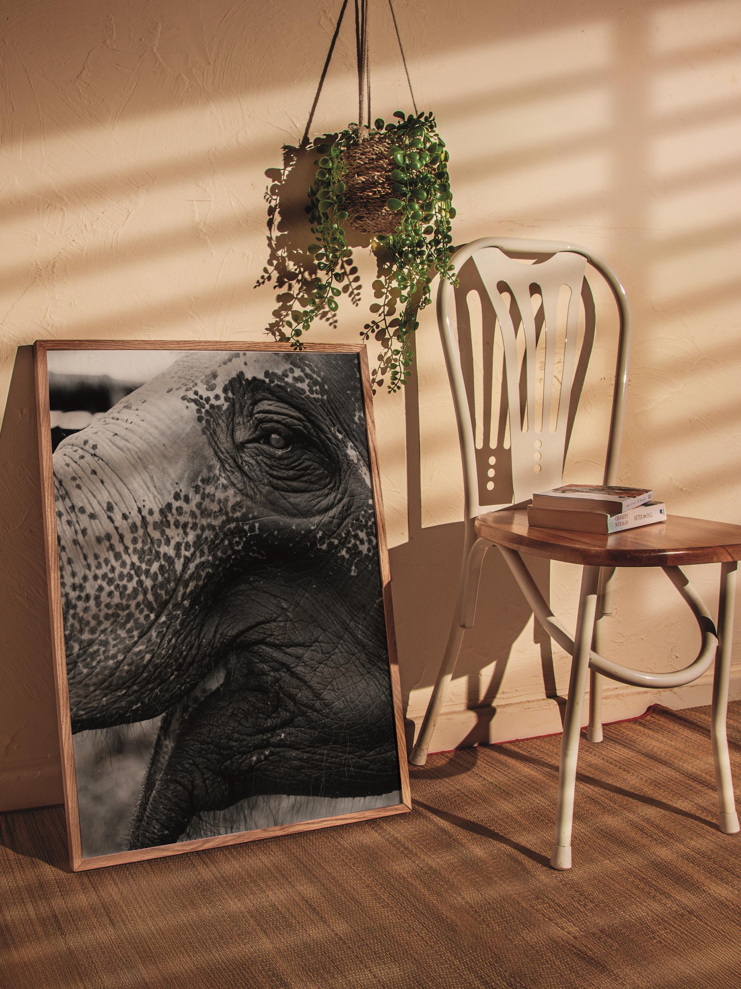Çerçevesiz Poster, Hayvanlar & Safari Tablo No:12, HD Fotoğraf, Salon, Mutfak Duvar Dekoru Poster