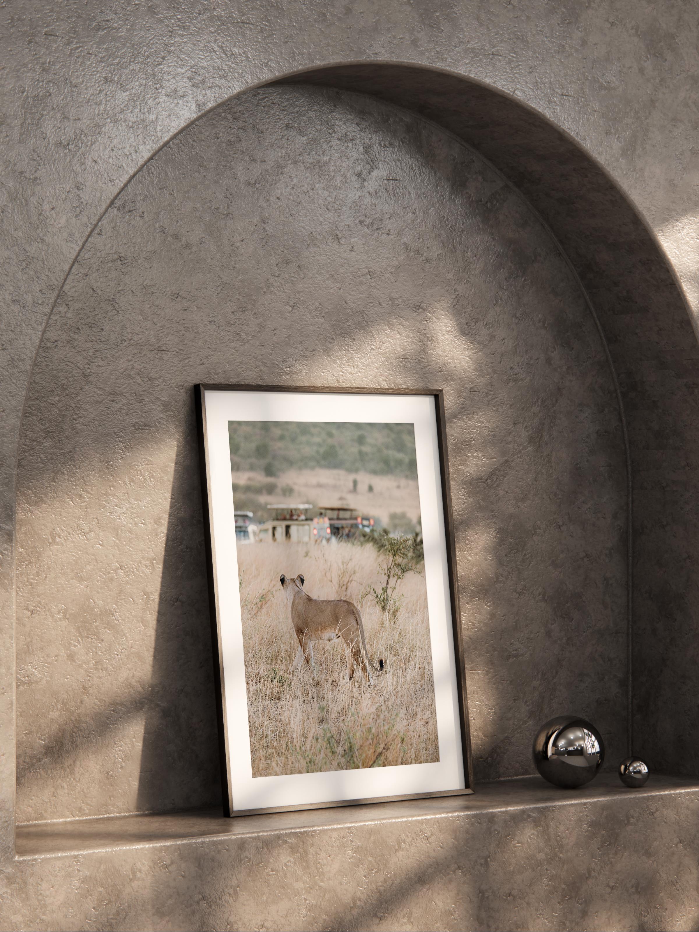 Çerçevesiz Poster, Hayvanlar & Safari Tablo No:14, HD Fotoğraf, Salon, Mutfak Duvar Dekoru Poster