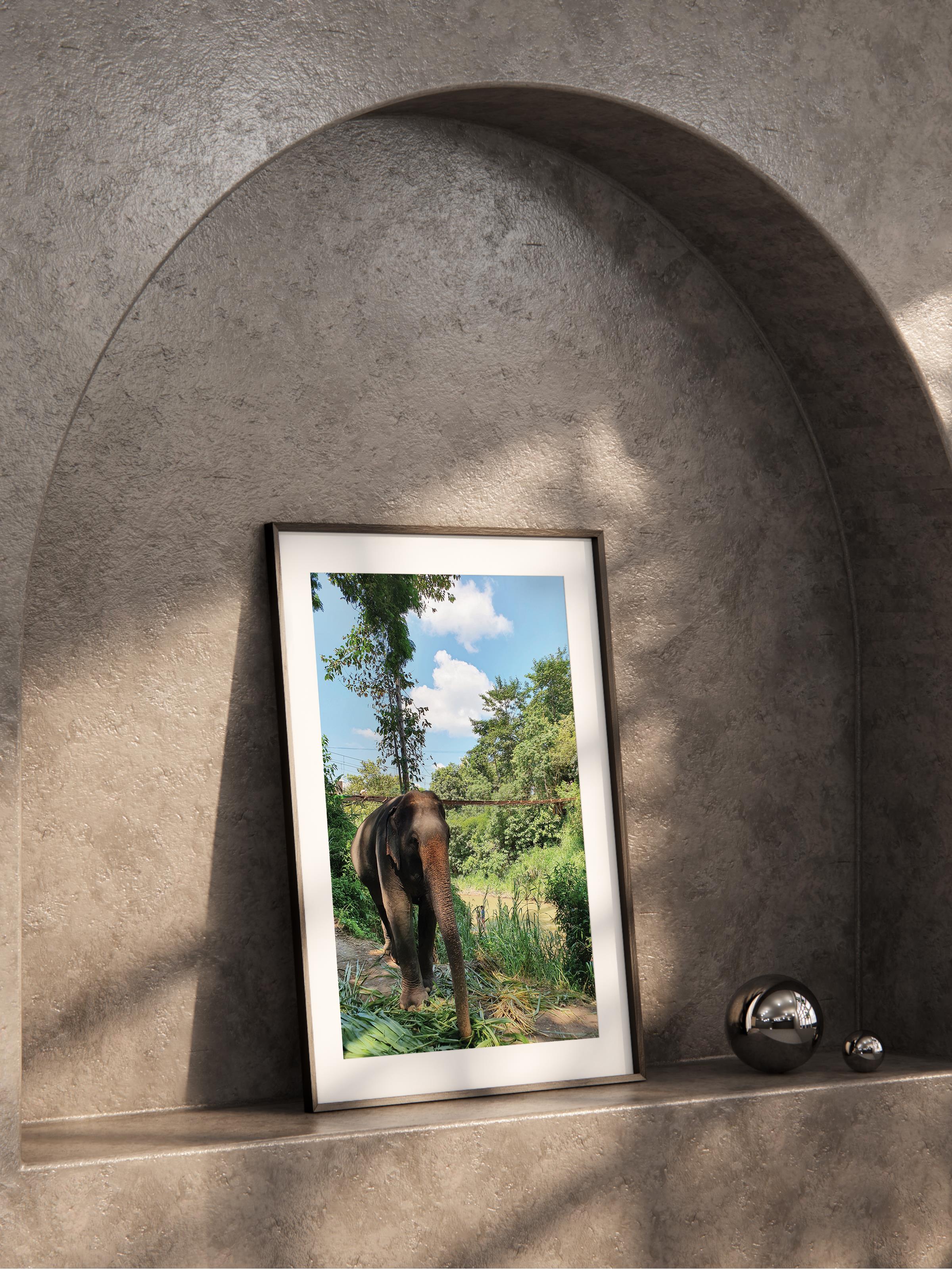 Çerçevesiz Poster, Hayvanlar & Safari Tablo No:15, HD Fotoğraf, Salon, Mutfak Duvar Dekoru Poster