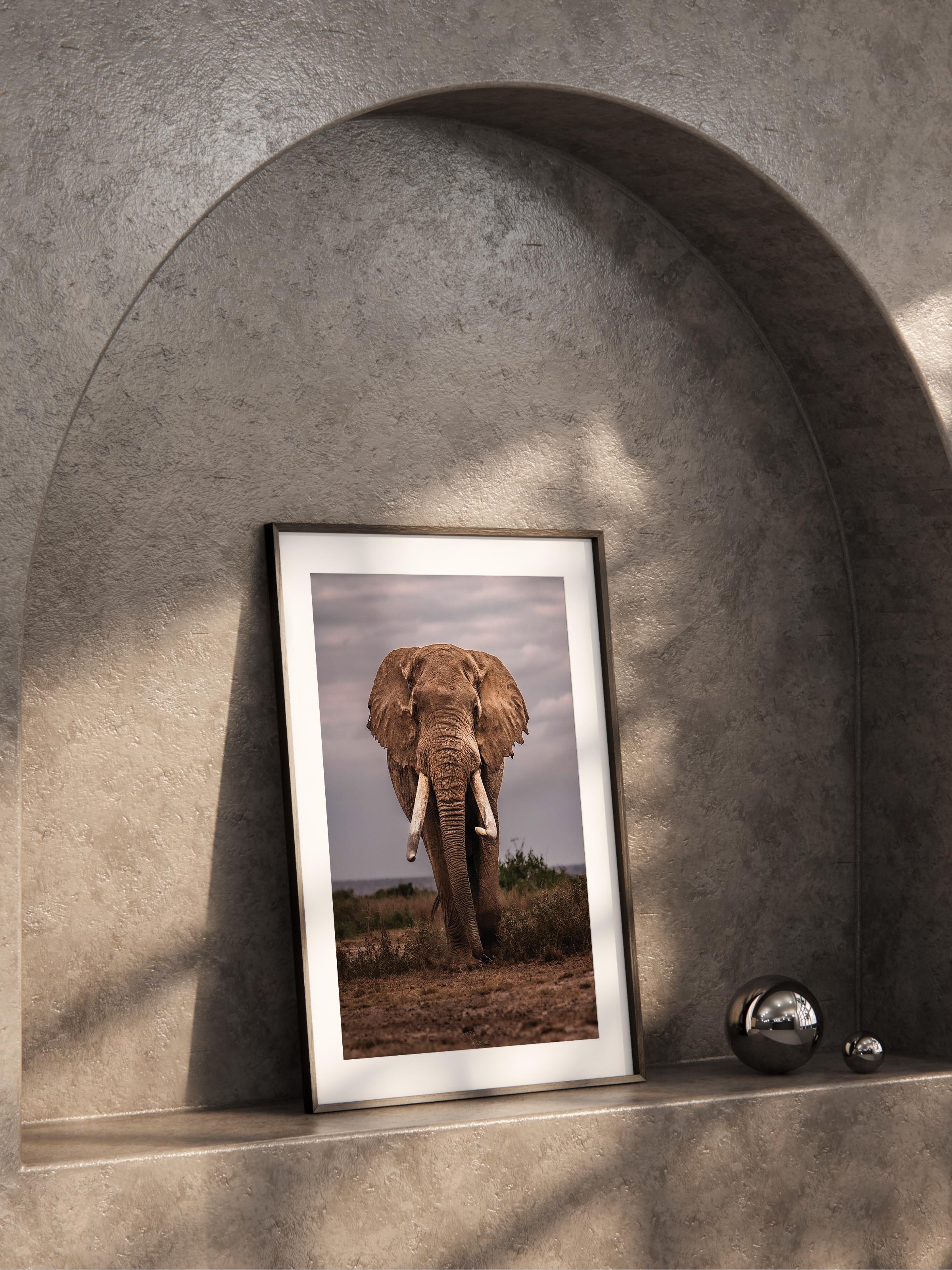 Çerçevesiz Poster, Hayvanlar & Safari Tablo No:16, HD Fotoğraf, Salon, Mutfak Duvar Dekoru Poster