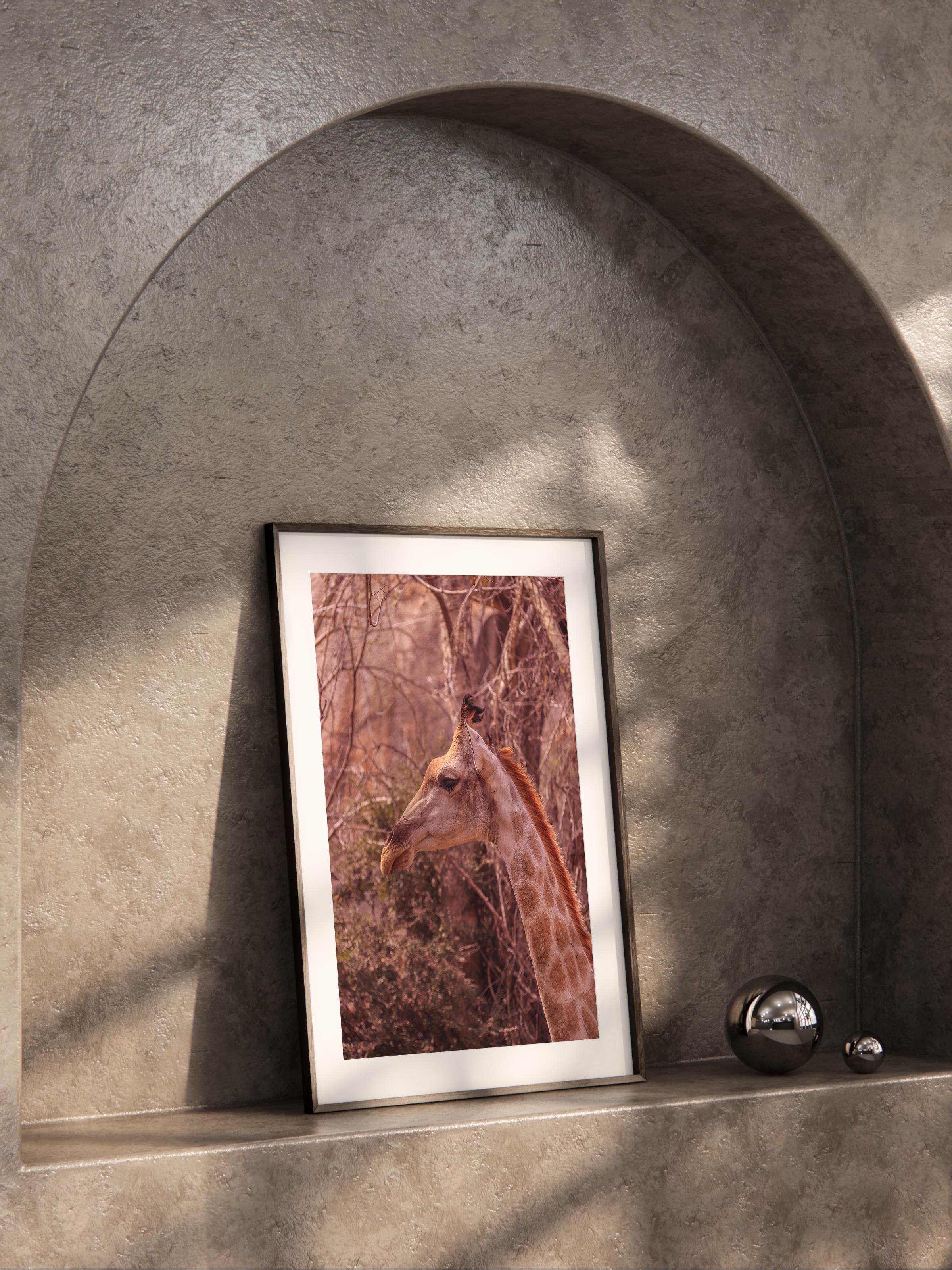 Çerçevesiz Poster, Hayvanlar & Safari Tablo No:19, HD Fotoğraf, Salon, Mutfak Duvar Dekoru Poster