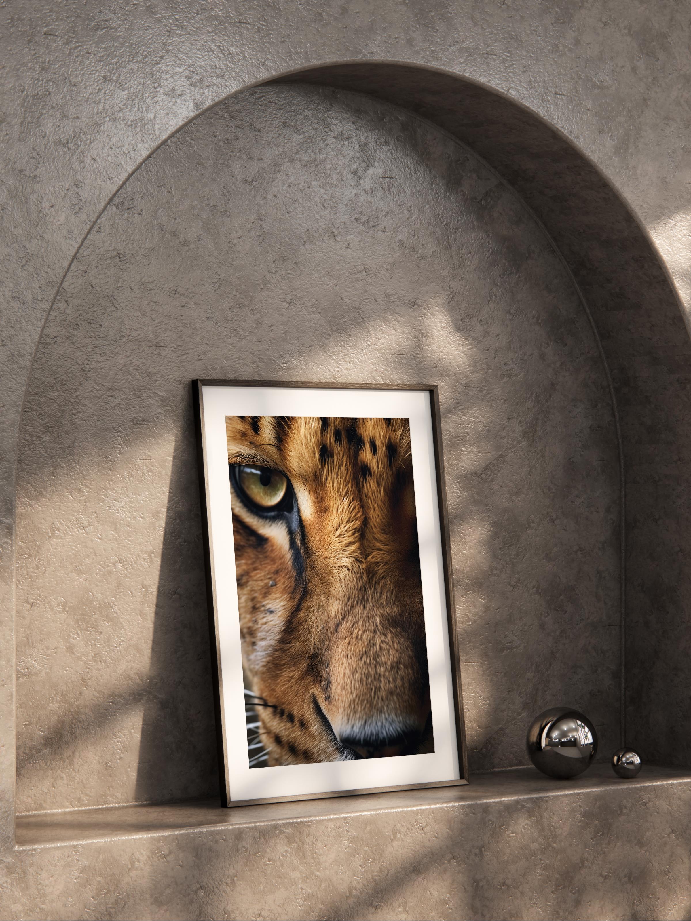 Çerçevesiz Poster, Hayvanlar & Safari Tablo No:2, HD Fotoğraf, Salon, Mutfak Duvar Dekoru Poster