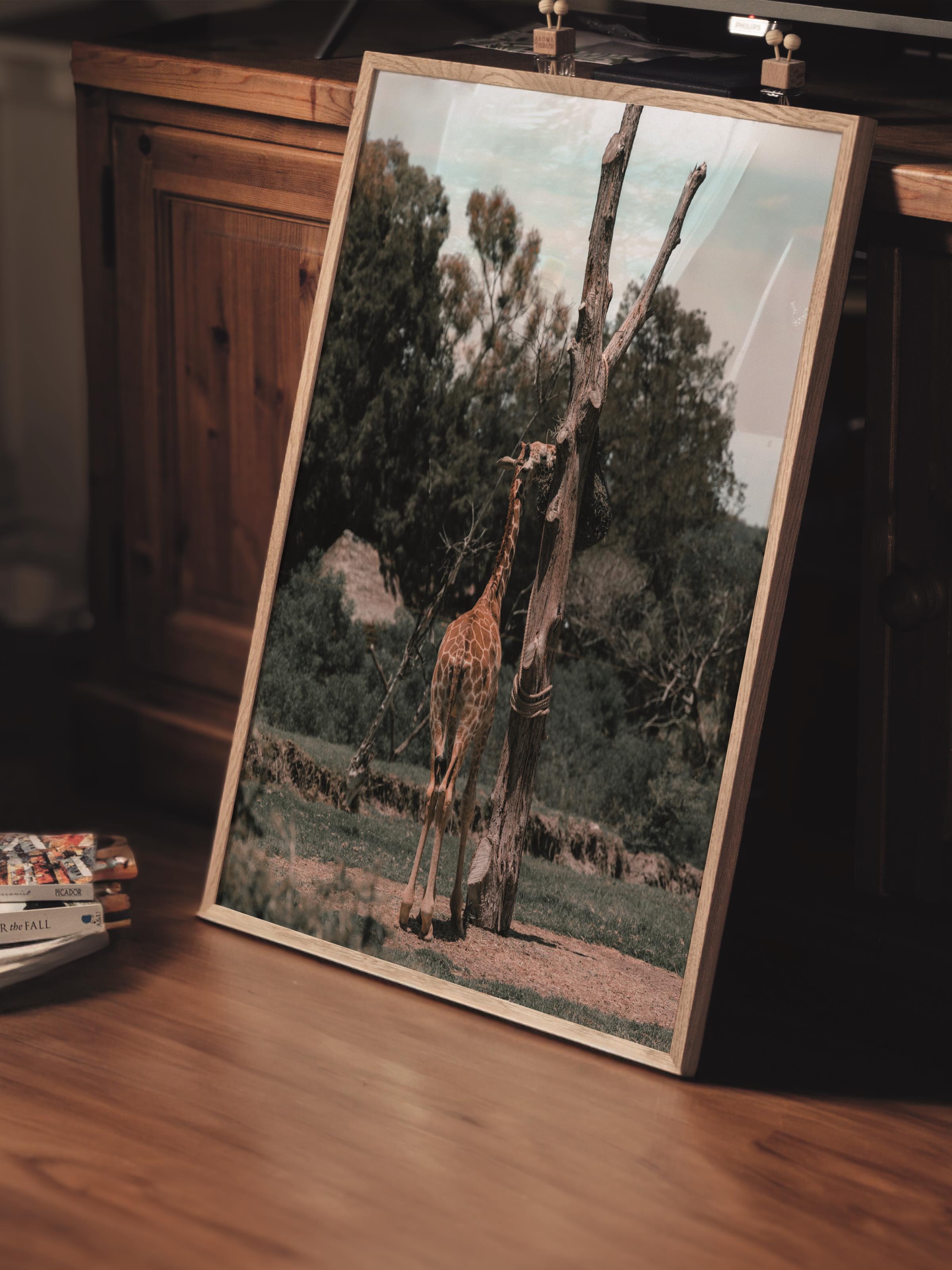 Çerçevesiz Poster, Hayvanlar & Safari Tablo No:25, HD Fotoğraf, Salon, Mutfak Duvar Dekoru Poster