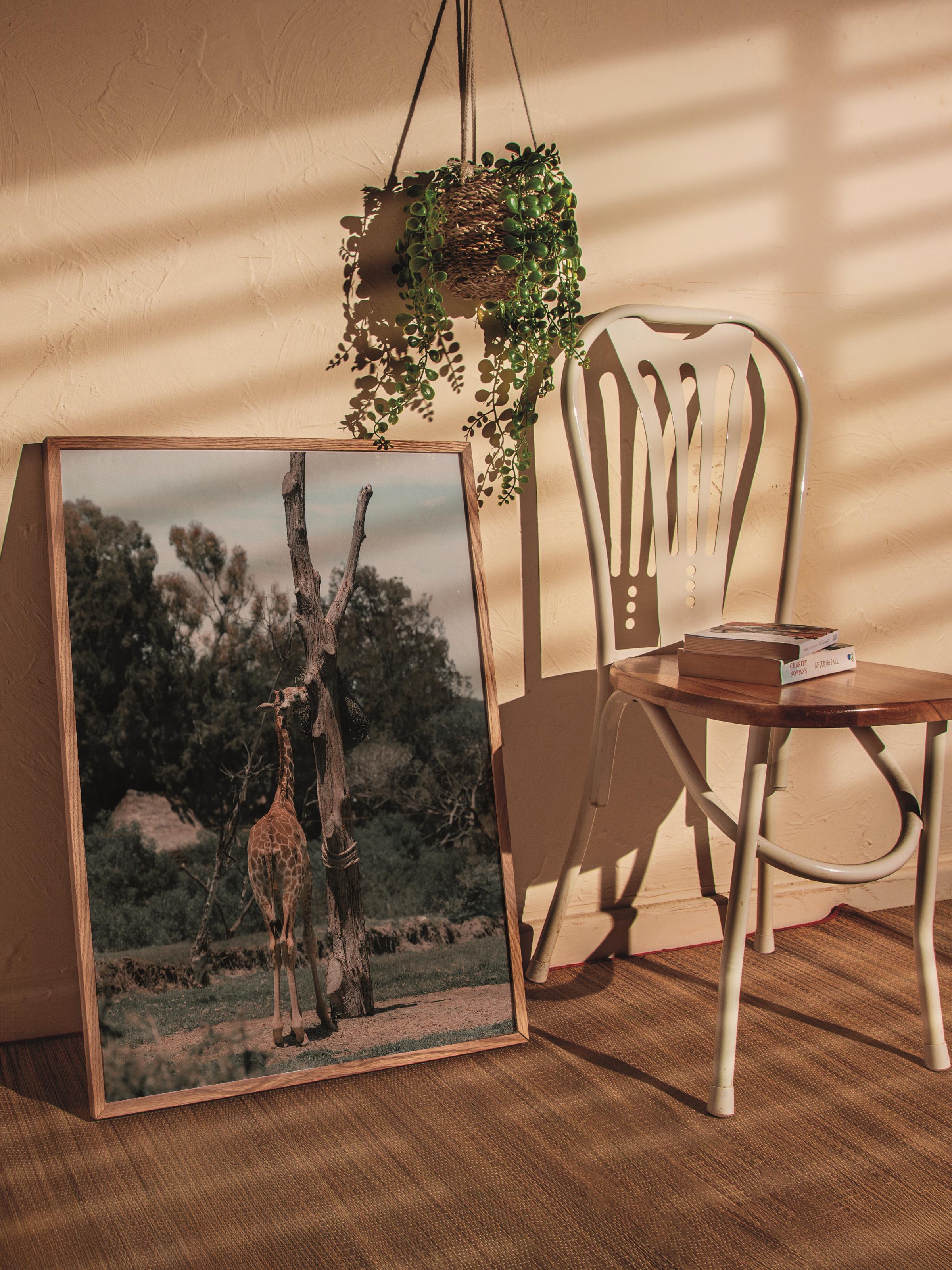 Çerçevesiz Poster, Hayvanlar & Safari Tablo No:25, HD Fotoğraf, Salon, Mutfak Duvar Dekoru Poster