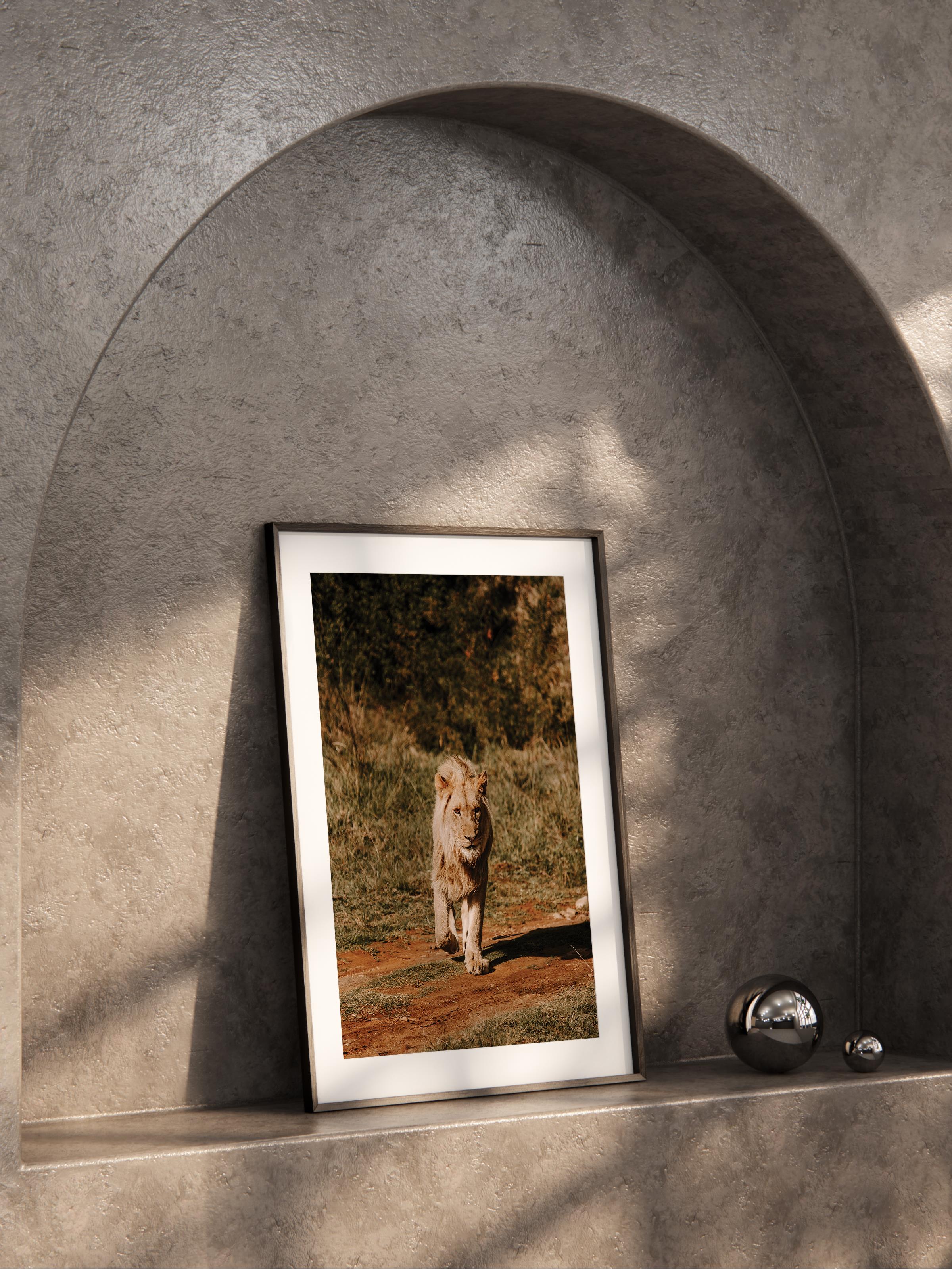 Çerçevesiz Poster, Hayvanlar & Safari Tablo No:27, HD Fotoğraf, Salon, Mutfak Duvar Dekoru Poster