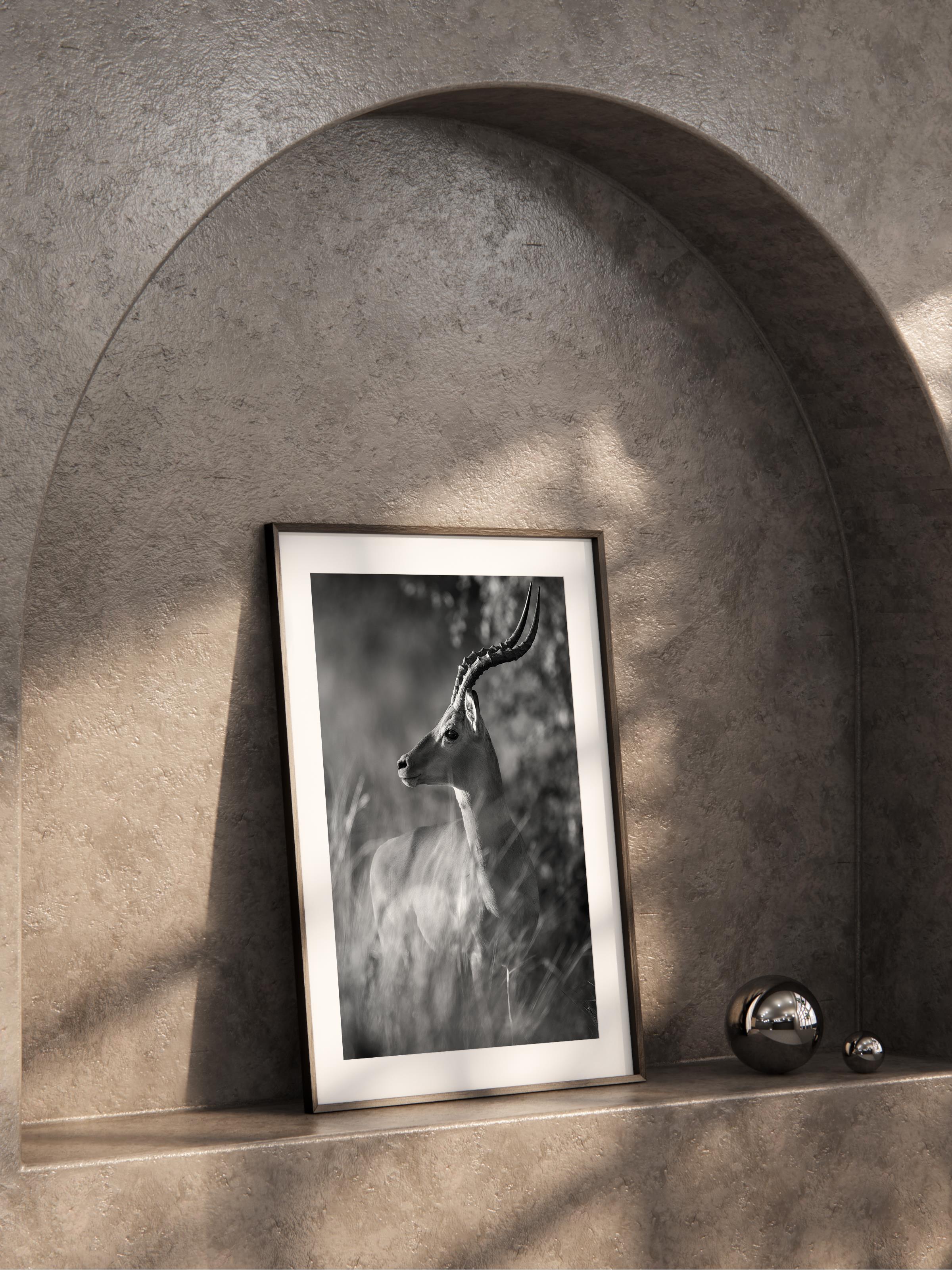 Çerçevesiz Poster, Hayvanlar & Safari Tablo No:28, HD Fotoğraf, Salon, Mutfak Duvar Dekoru Poster