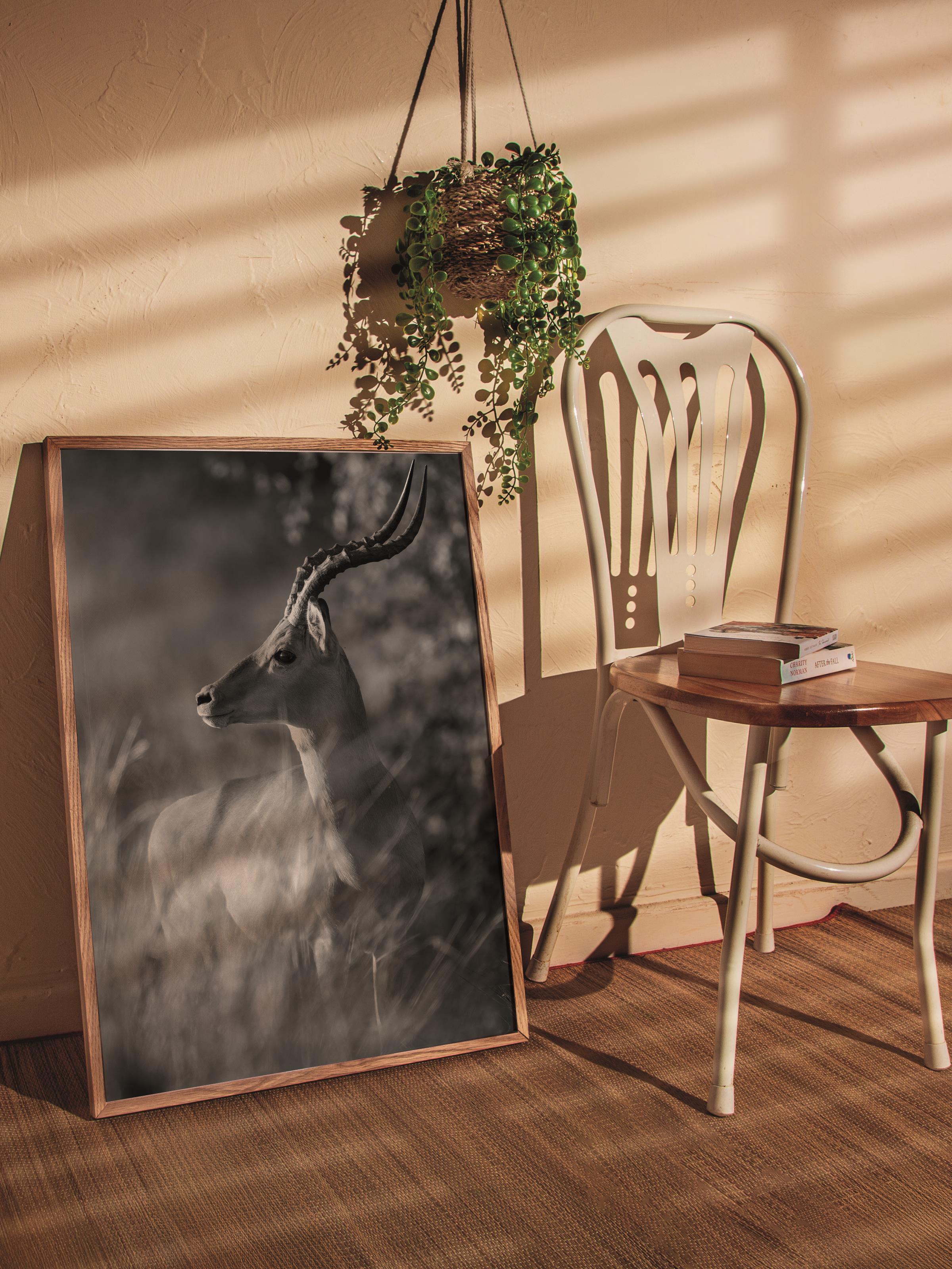 Çerçevesiz Poster, Hayvanlar & Safari Tablo No:28, HD Fotoğraf, Salon, Mutfak Duvar Dekoru Poster