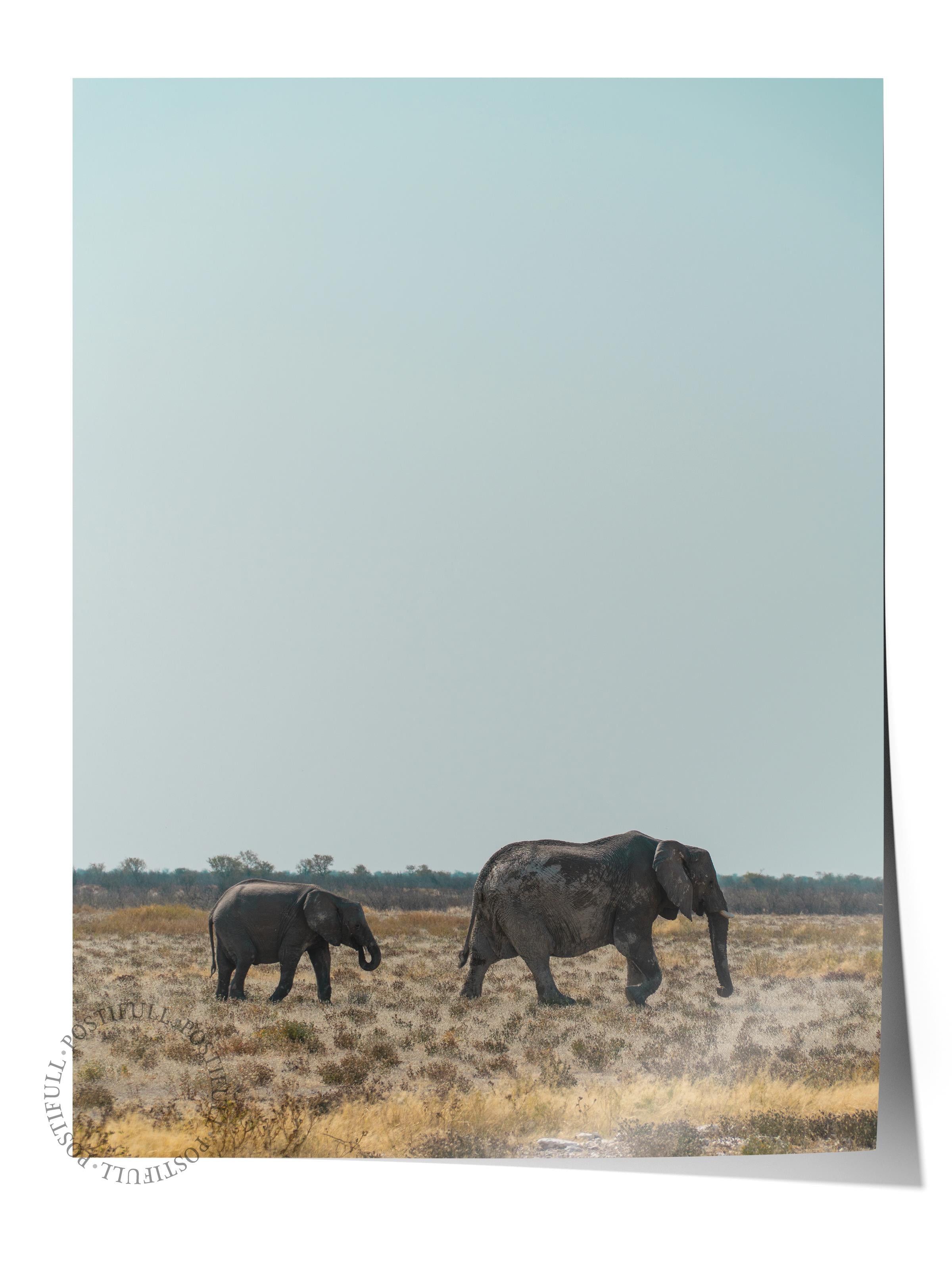 Çerçevesiz Poster, Hayvanlar & Safari Tablo No:29, HD Fotoğraf, Salon, Mutfak Duvar Dekoru Poster