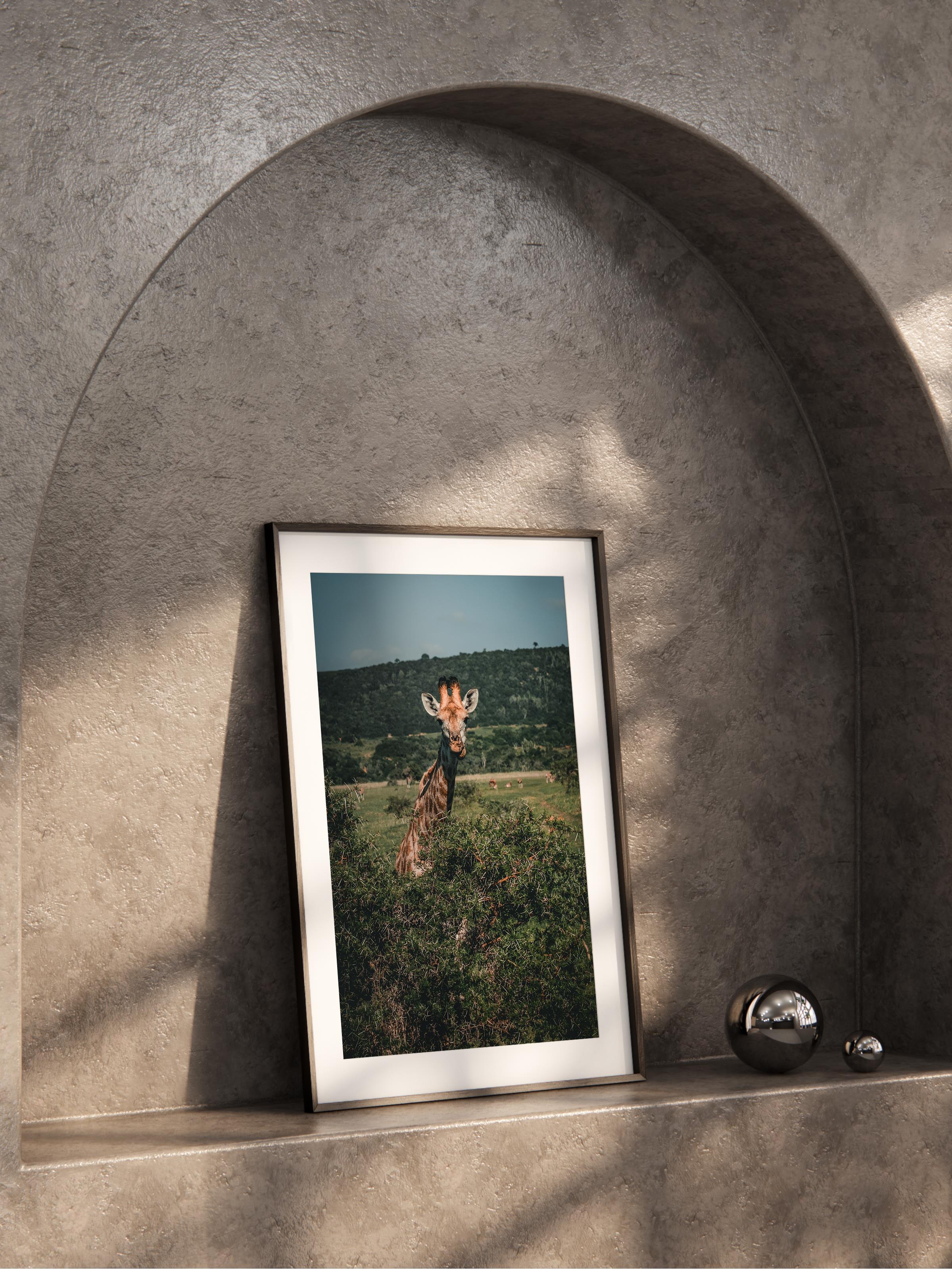 Çerçevesiz Poster, Hayvanlar & Safari Tablo No:31, HD Fotoğraf, Salon, Mutfak Duvar Dekoru Poster