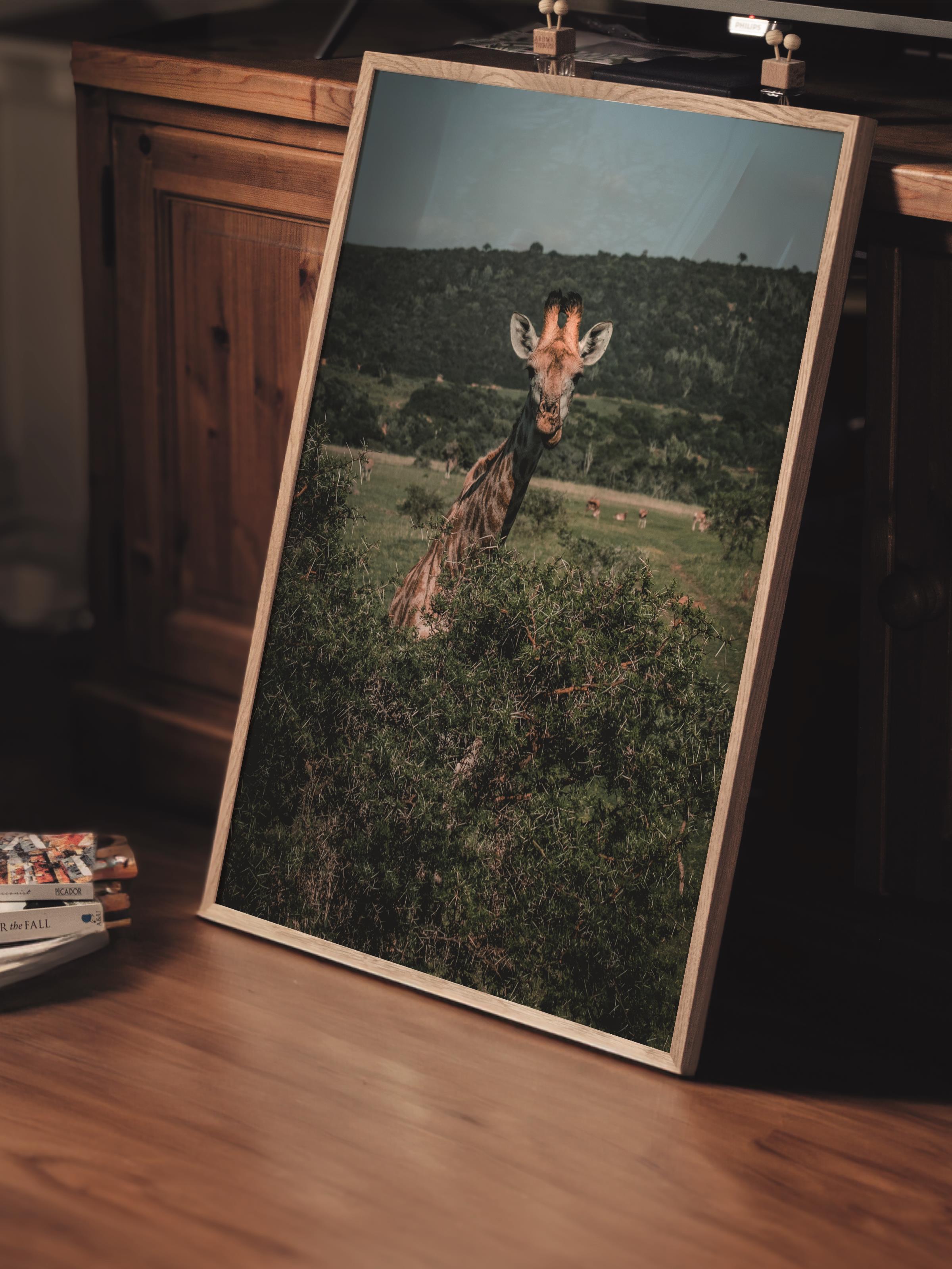 Çerçevesiz Poster, Hayvanlar & Safari Tablo No:31, HD Fotoğraf, Salon, Mutfak Duvar Dekoru Poster
