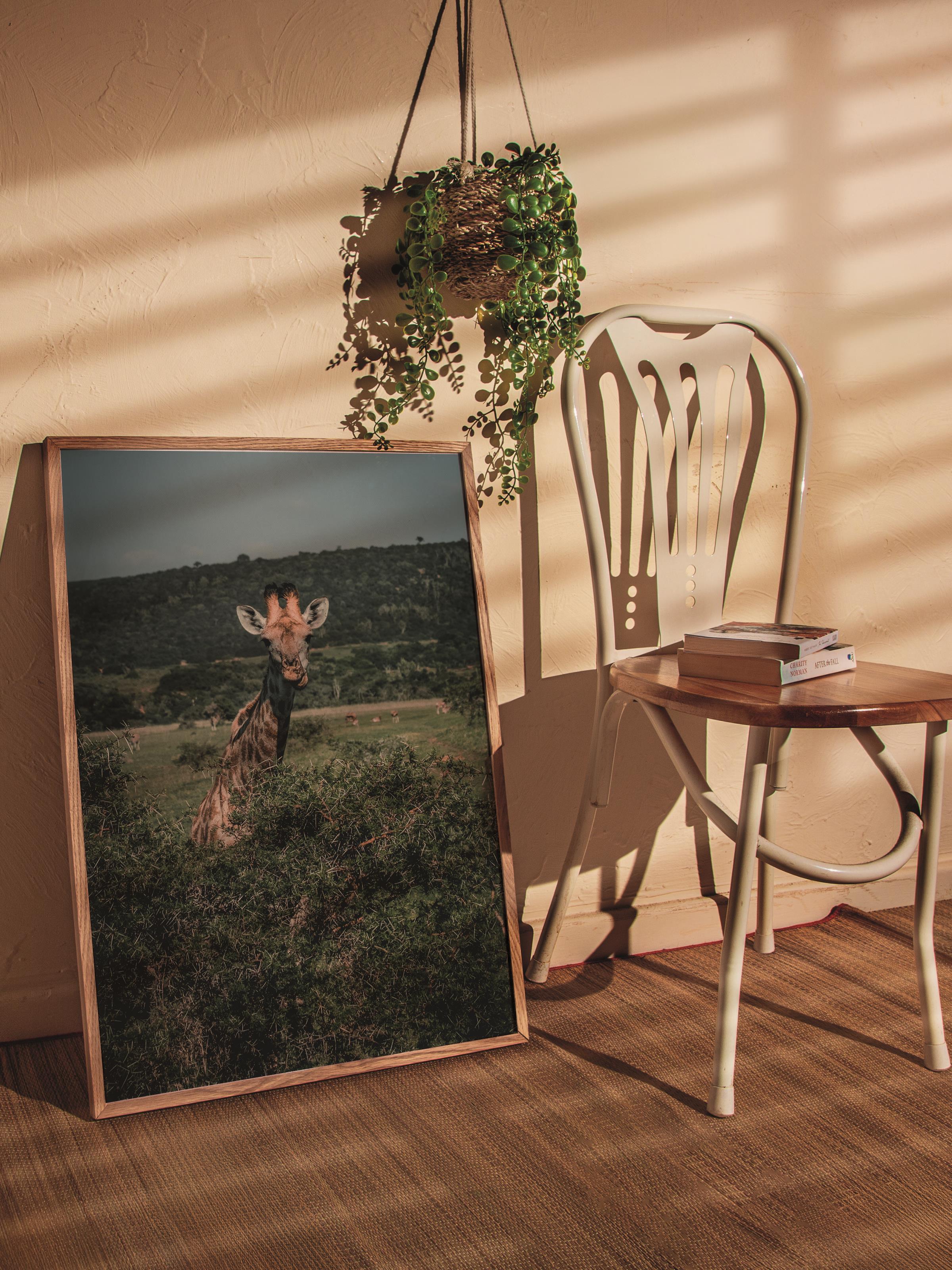 Çerçevesiz Poster, Hayvanlar & Safari Tablo No:31, HD Fotoğraf, Salon, Mutfak Duvar Dekoru Poster