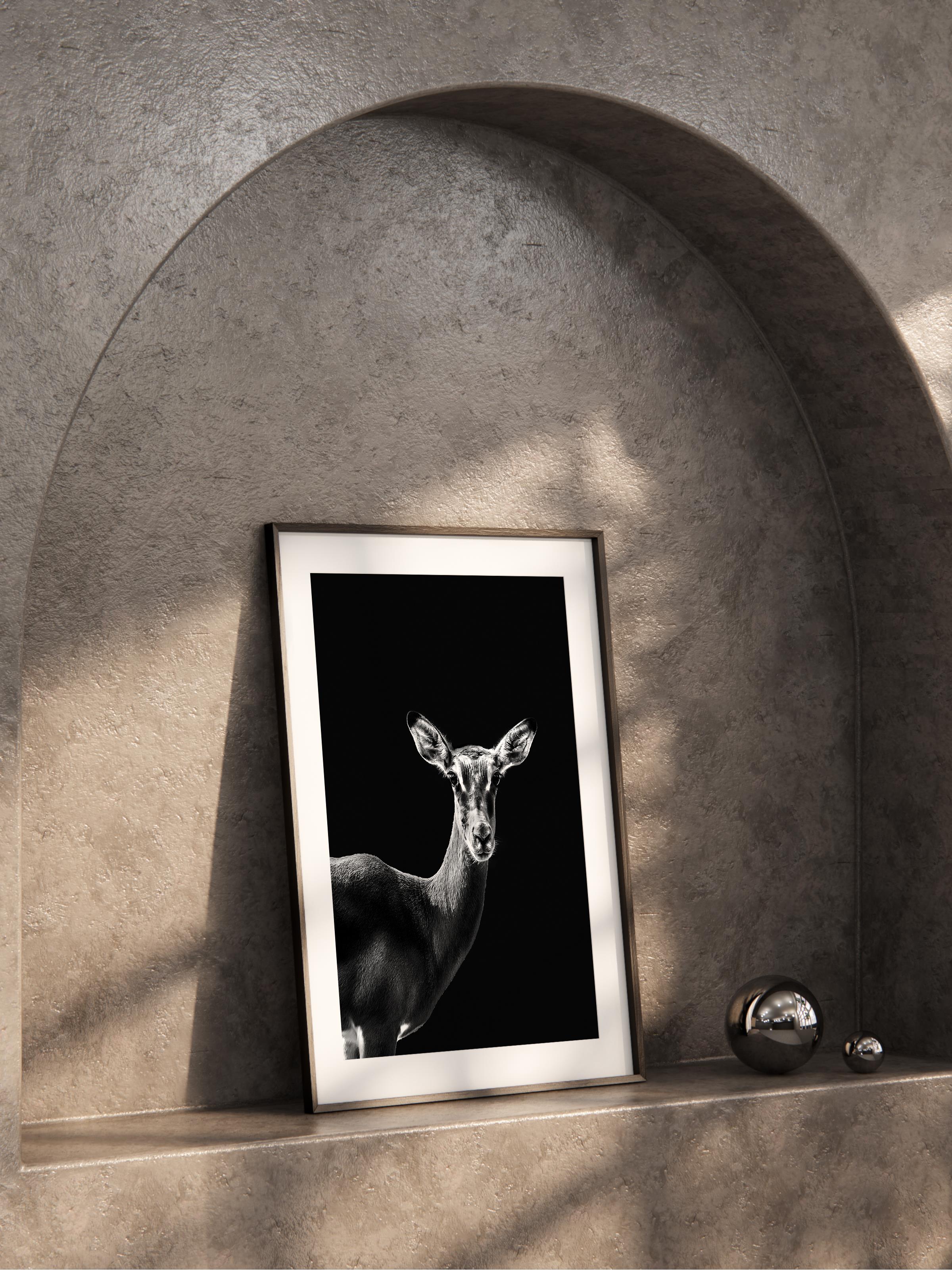 Çerçevesiz Poster, Hayvanlar & Safari Tablo No:32, HD Fotoğraf, Salon, Mutfak Duvar Dekoru Poster