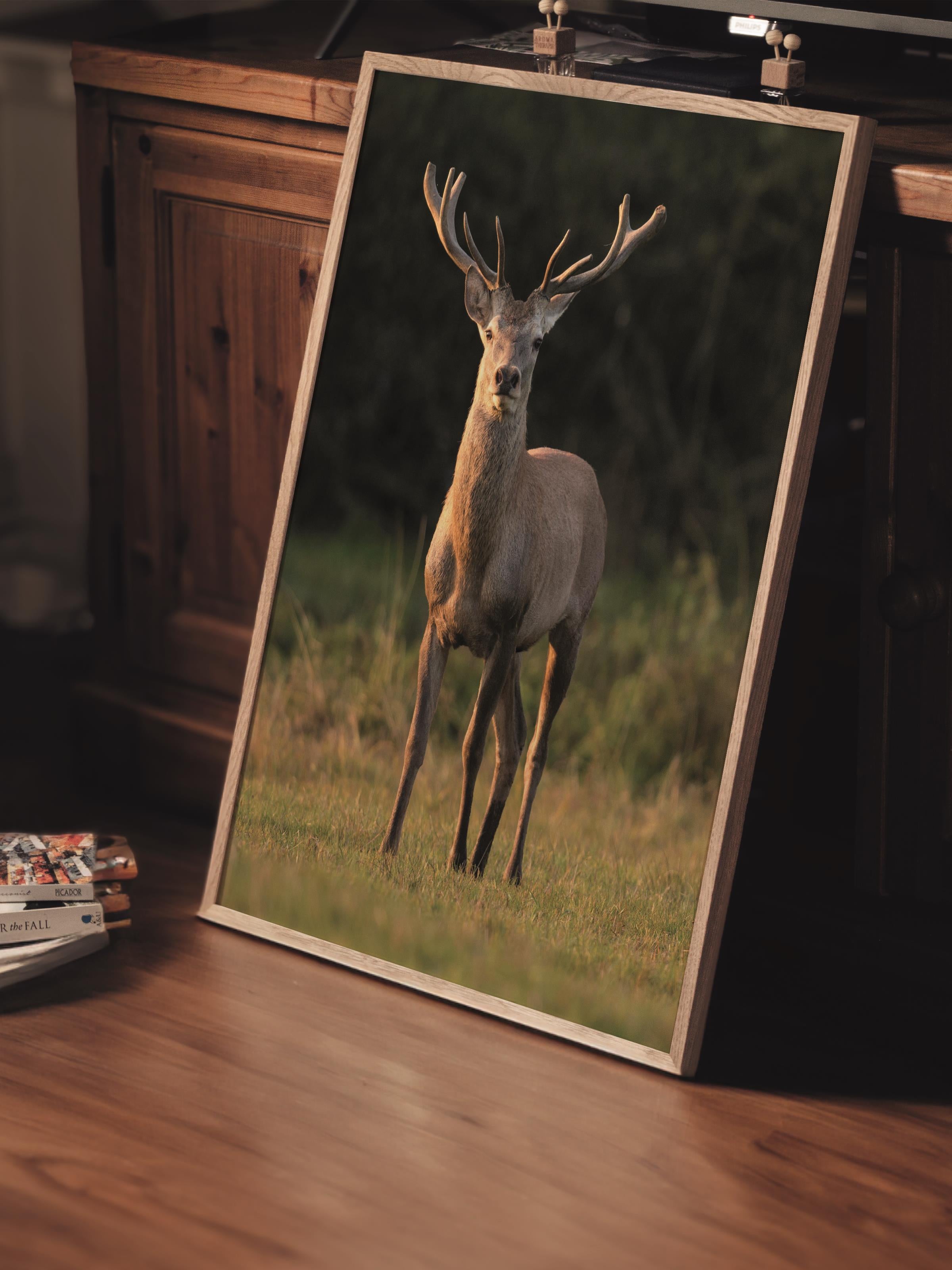 Çerçevesiz Poster, Hayvanlar & Safari Tablo No:33, HD Fotoğraf, Salon, Mutfak Duvar Dekoru Poster