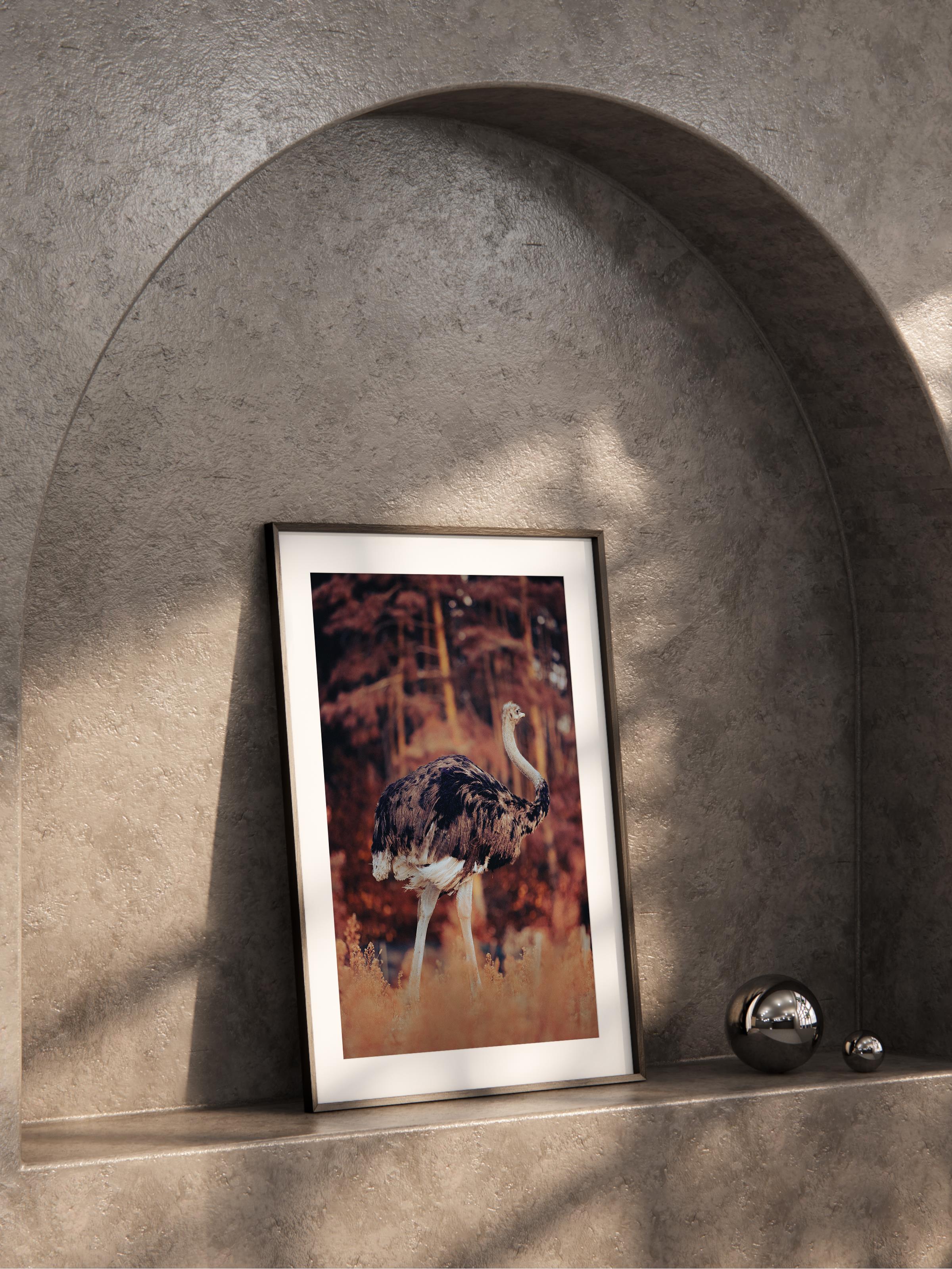 Çerçevesiz Poster, Hayvanlar & Safari Tablo No:34, HD Fotoğraf, Salon, Mutfak Duvar Dekoru Poster