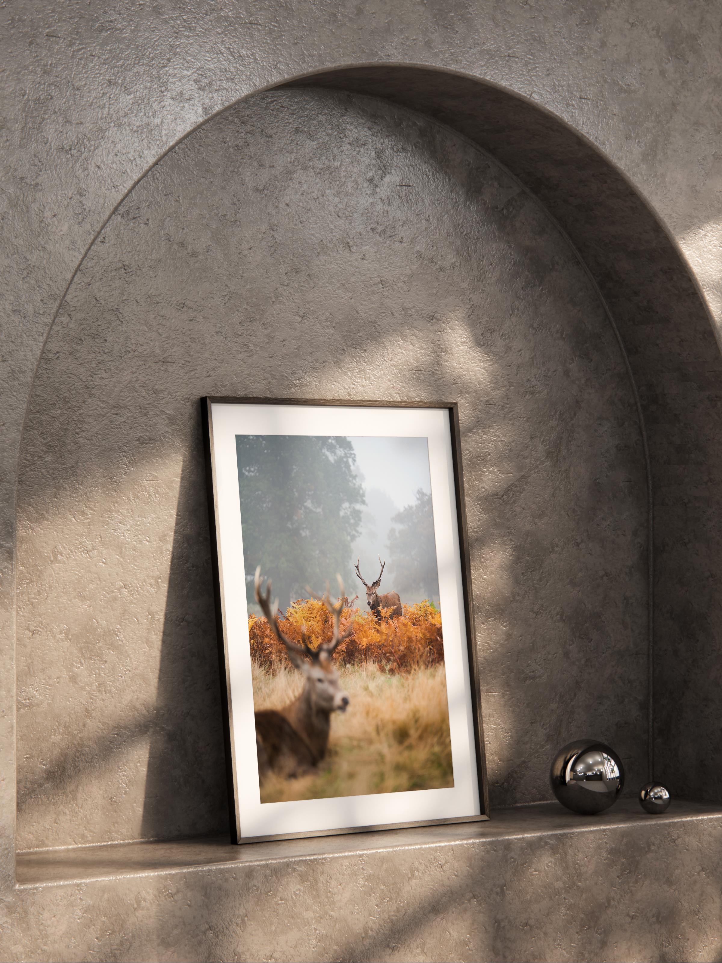 Çerçevesiz Poster, Hayvanlar & Safari Tablo No:35, HD Fotoğraf, Salon, Mutfak Duvar Dekoru Poster
