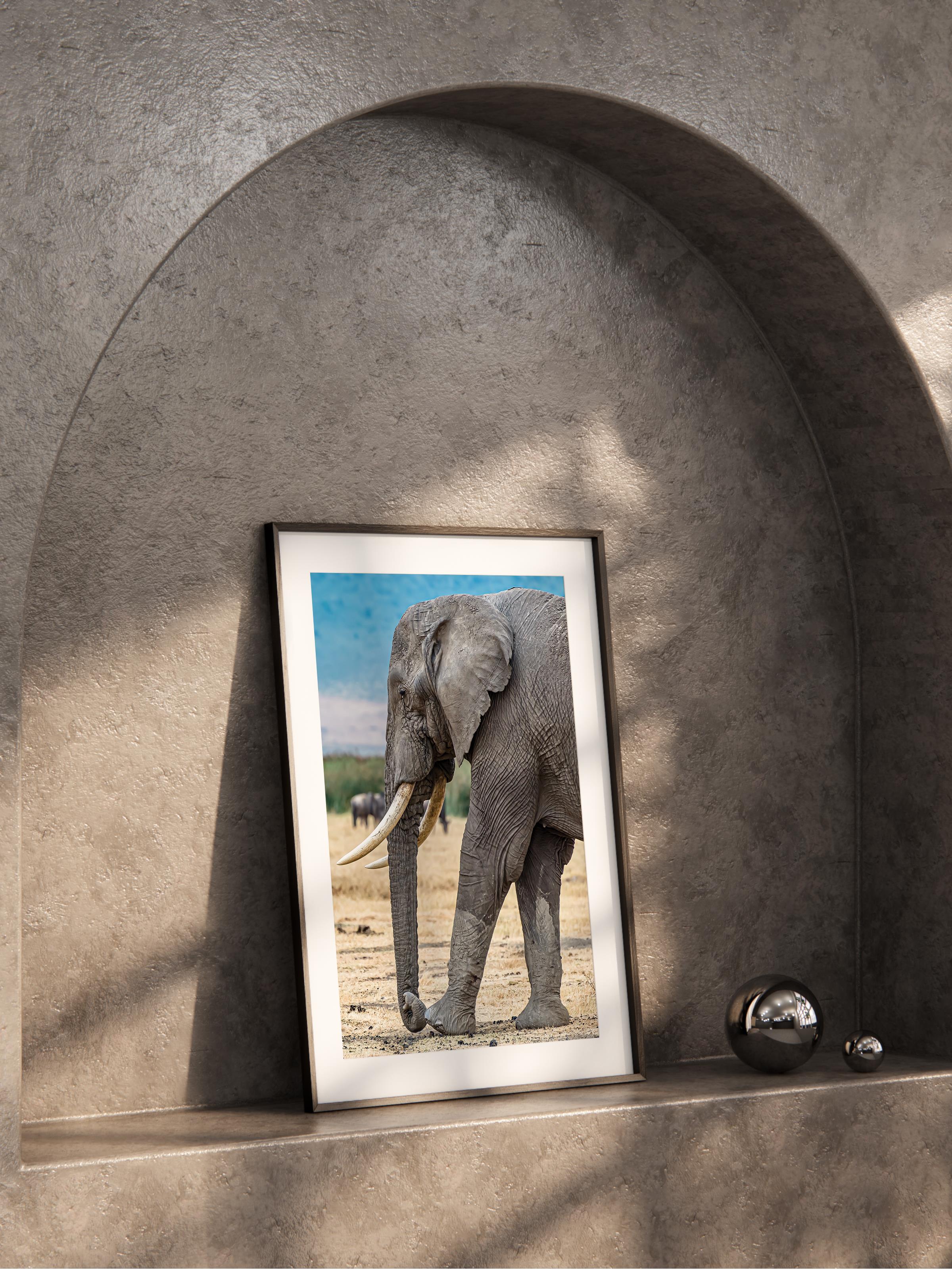 Çerçevesiz Poster, Hayvanlar & Safari Tablo No:37, HD Fotoğraf, Salon, Mutfak Duvar Dekoru Poster